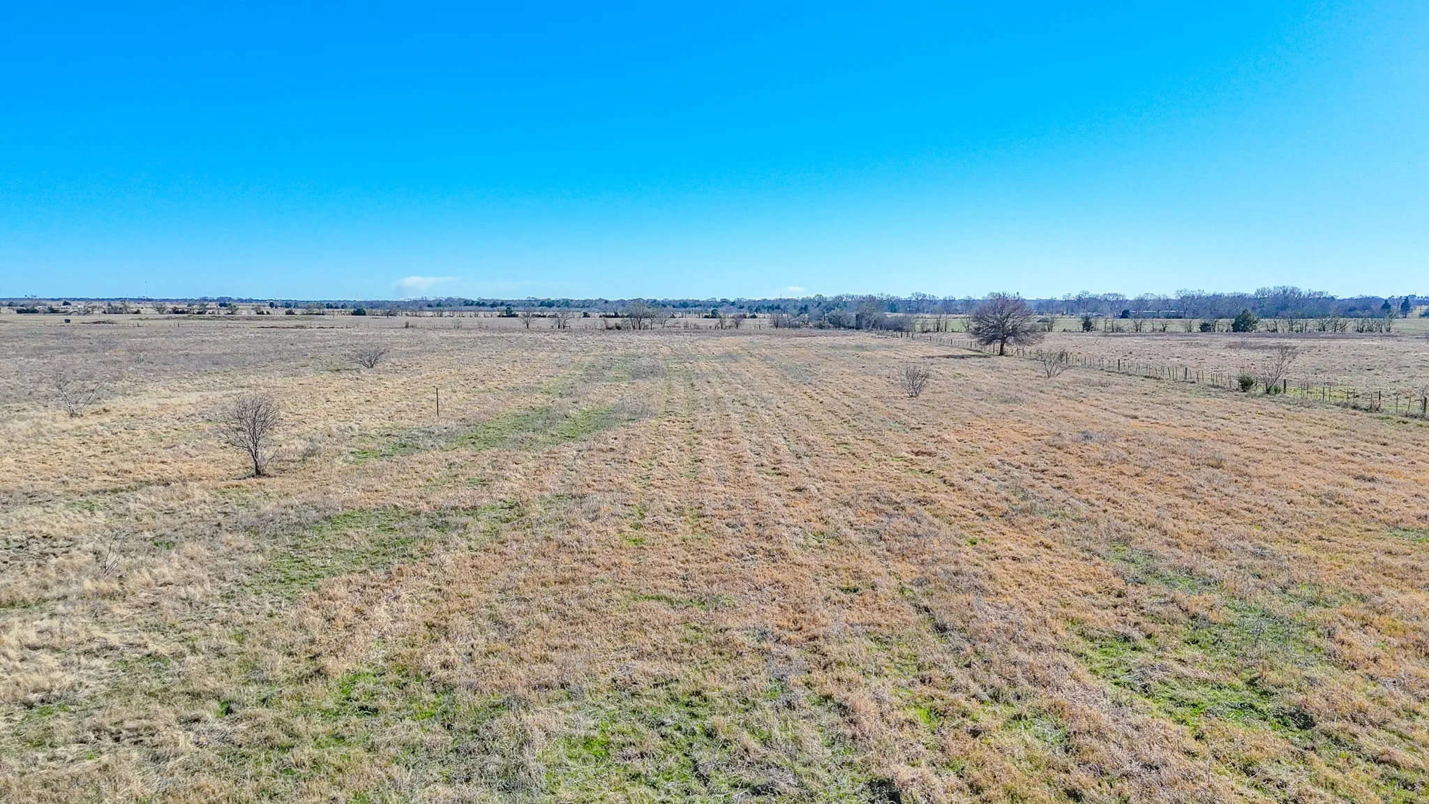 Unimproved Land For Sale in Navarro County , Lot 1 NE CR 2160, Kerens, Texas 75144, 0, 0, Garage spaces, 0 Sqft, built in 0, mls#21149793, Real Estate Agent in Kerens, Homes For Sale in Navarro county, Homes For Sale in Kerens, Realtor in Kerens Texas, Real Estate Brokerage Independent Realty Texas, Luminita Cordes Realtor
