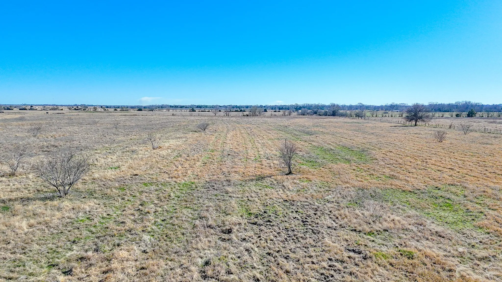 Unimproved Land For Sale in Navarro County , Lot 2 NE CR 2160, Kerens, Texas 75144, 0, 0, Garage spaces, 0 Sqft, built in 0, mls#21149857, Real Estate Agent in Kerens, Homes For Sale in Navarro county, Homes For Sale in Kerens, Realtor in Kerens Texas, Real Estate Brokerage Independent Realty Texas, Luminita Cordes Realtor
