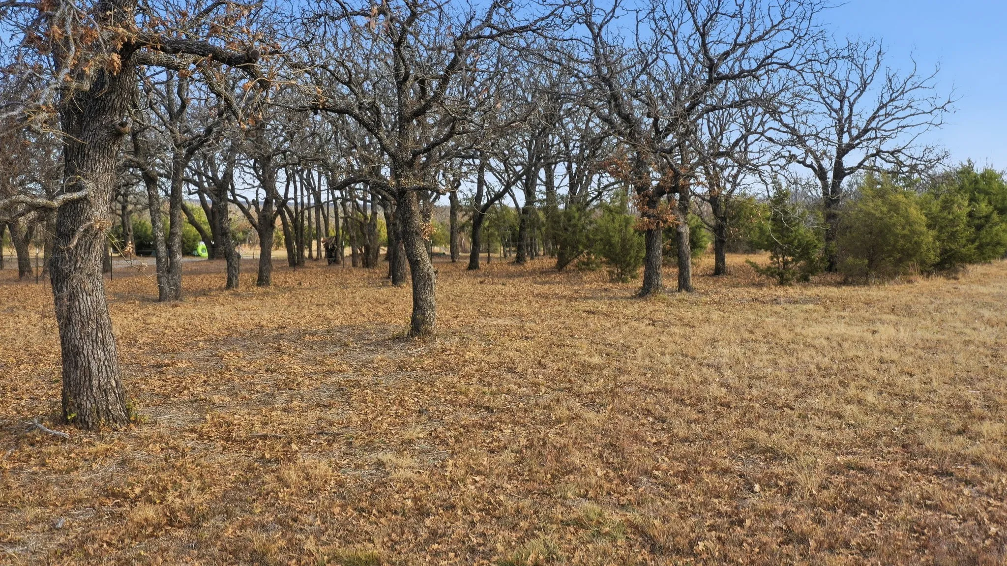 Unimproved Land For Sale in Jack County , TBD Dps Tower, Perrin, Texas 76486, 0, 0, Garage spaces, 0 Sqft, built in 0, Price $80,000, mls#21149941, Real Estate Agent in Perrin, Homes For Sale in Jack county, Homes For Sale in Perrin, Realtor in Perrin Texas, Real Estate Brokerage Independent Realty Texas, Luminita Cordes Realtor