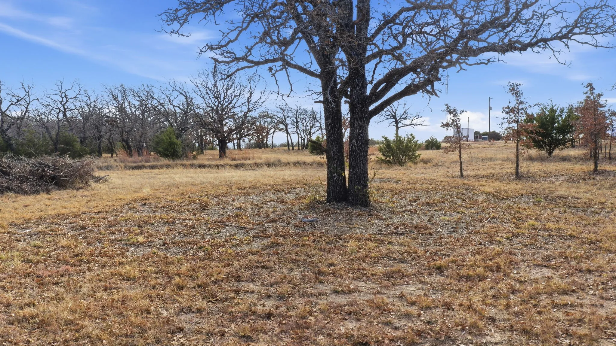 Unimproved Land For Sale in Jack County , TBD Dps Tower, Perrin, Texas 76486, 0, 0, Garage spaces, 0 Sqft, built in 0, Price $80,000, mls#21149941, Real Estate Agent in Perrin, Homes For Sale in Jack county, Homes For Sale in Perrin, Realtor in Perrin Texas, Real Estate Brokerage Independent Realty Texas, Luminita Cordes Realtor