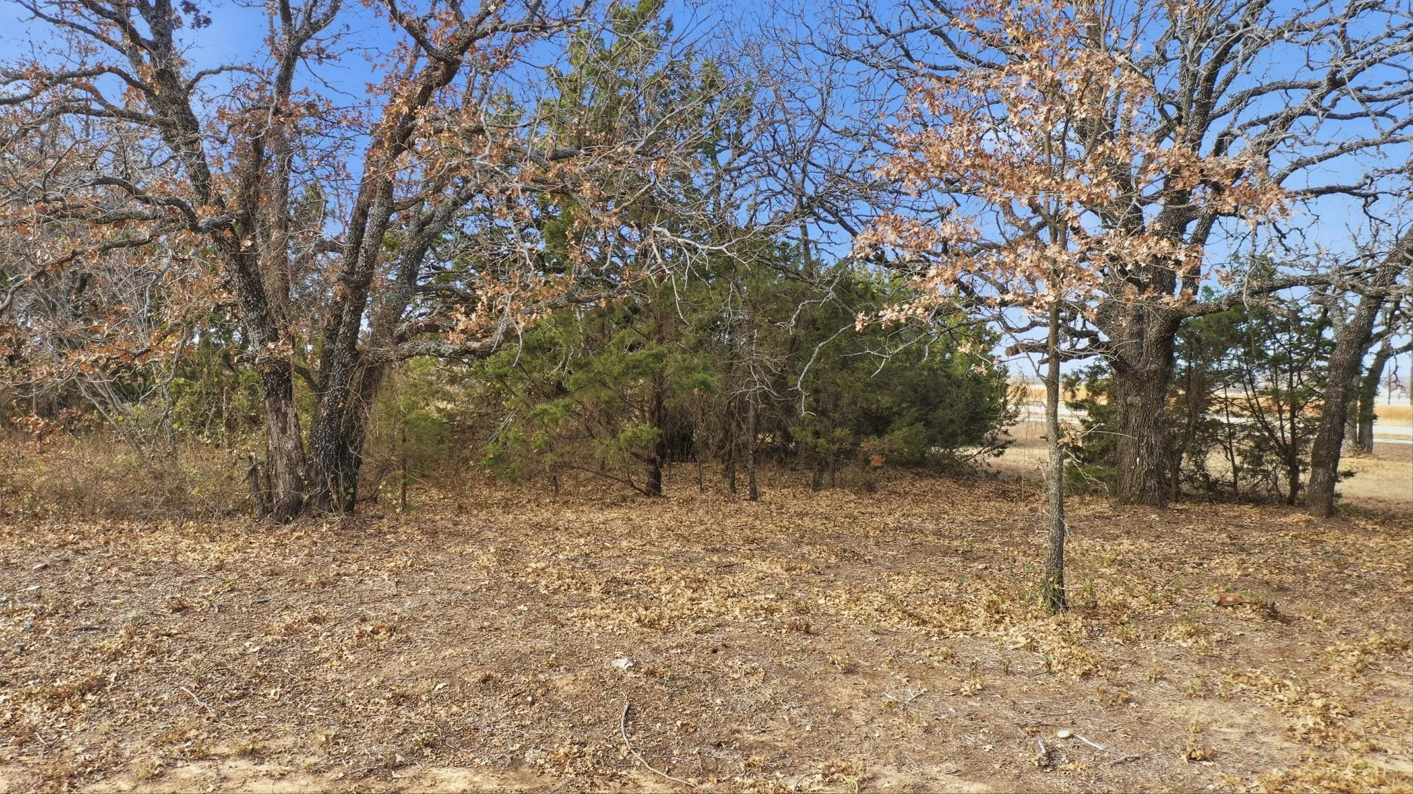 Unimproved Land For Sale in Jack County , TBD Dps Tower, Perrin, Texas 76486, 0, 0, Garage spaces, 0 Sqft, built in 0, Price $80,000, mls#21149941, Real Estate Agent in Perrin, Homes For Sale in Jack county, Homes For Sale in Perrin, Realtor in Perrin Texas, Real Estate Brokerage Independent Realty Texas, Luminita Cordes Realtor