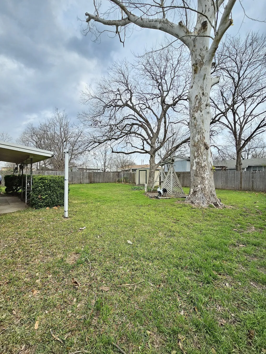 Single Family Residence For Sale in Mc Lennan County , 817 N Lacy Drive, Lacy Lakeview, Texas 76705, 3 Bedroom, 2 Bathroom, Garage spaces, 1,546 Sqft, built in 1959, Preowned, mls#21134520, Real Estate Agent in Lacy Lakeview, Homes For Sale in Mc Lennan county, Homes For Sale in Lacy Lakeview, Realtor in Lacy Lakeview Texas, Real Estate Brokerage Independent Realty Texas, Luminita Cordes Realtor