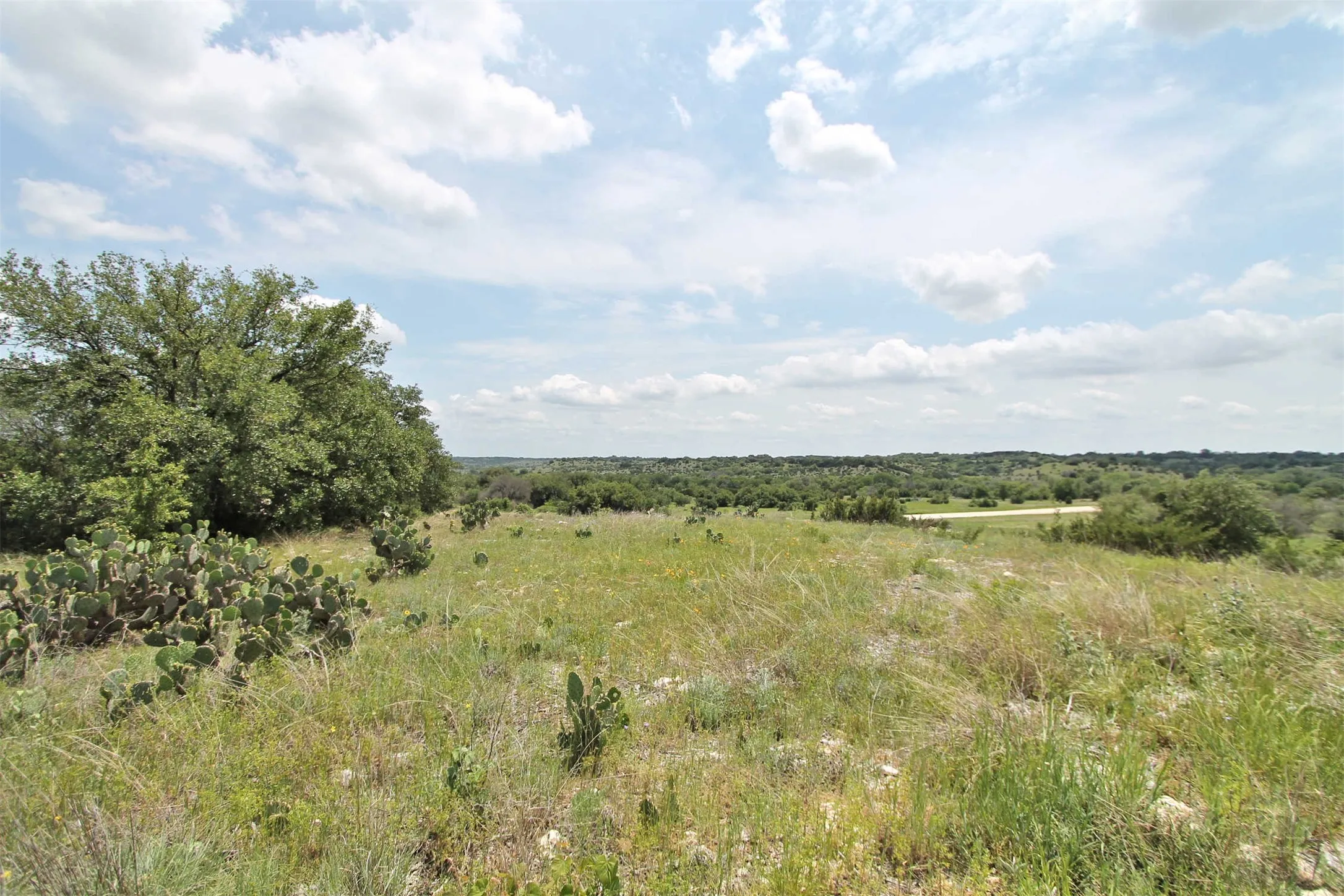 Unimproved Land For Sale in Somervell County , 1102 Bluffview Ct, Glen Rose, Texas 76043, 0, 0, Garage spaces, 0 Sqft, built in 0, Price $204,900, mls#21144086, Real Estate Agent in Glen Rose, Homes For Sale in Somervell county, Homes For Sale in Glen Rose, Realtor in Glen Rose Texas, Real Estate Brokerage Independent Realty Texas, Luminita Cordes Realtor