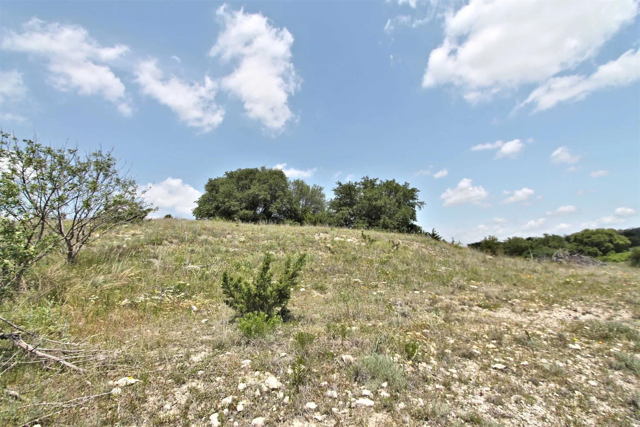 Unimproved Land For Sale in Somervell County , 1102 Bluffview Ct, Glen Rose, Texas 76043, 0, 0, Garage spaces, 0 Sqft, built in 0, Price $204,900, mls#21144086, Real Estate Agent in Glen Rose, Homes For Sale in Somervell county, Homes For Sale in Glen Rose, Realtor in Glen Rose Texas, Real Estate Brokerage Independent Realty Texas, Luminita Cordes Realtor