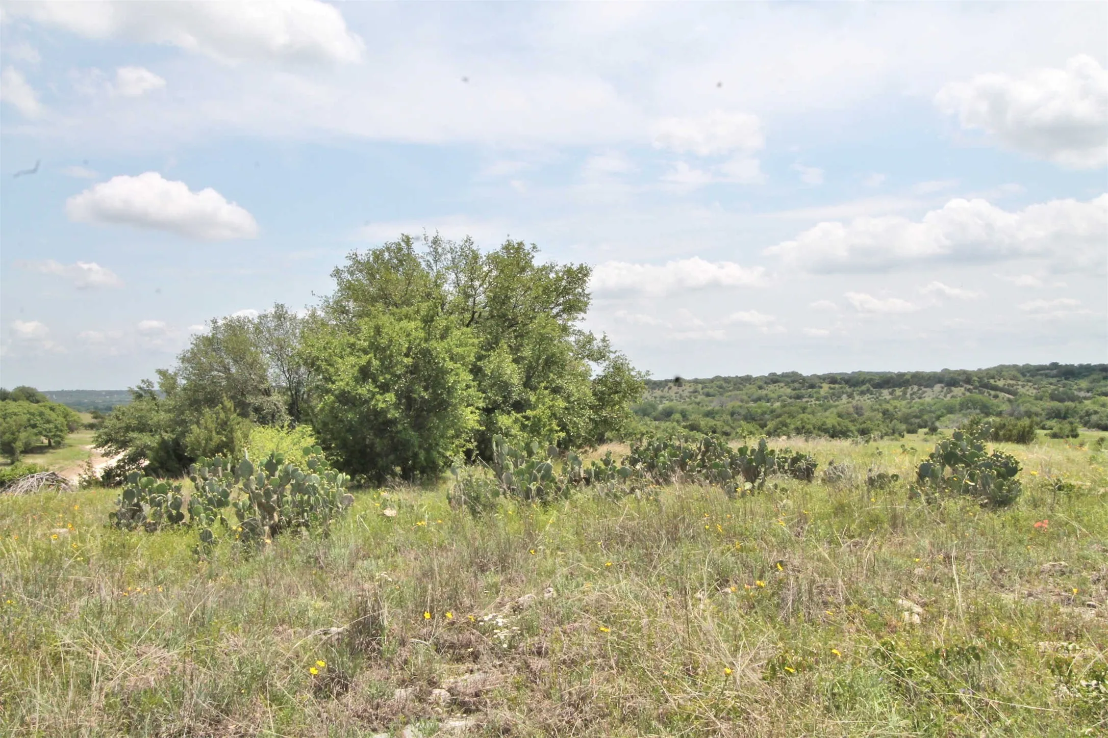 Unimproved Land For Sale in Somervell County , 1102 Bluffview Ct, Glen Rose, Texas 76043, 0, 0, Garage spaces, 0 Sqft, built in 0, Price $204,900, mls#21144086, Real Estate Agent in Glen Rose, Homes For Sale in Somervell county, Homes For Sale in Glen Rose, Realtor in Glen Rose Texas, Real Estate Brokerage Independent Realty Texas, Luminita Cordes Realtor
