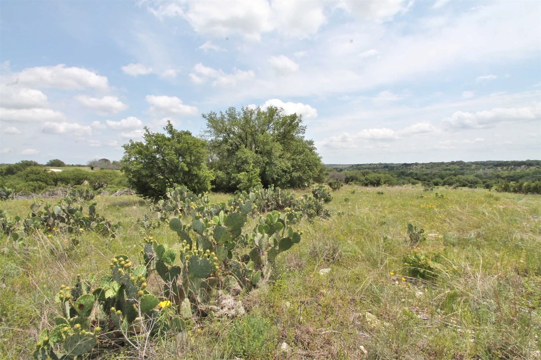 Unimproved Land For Sale in Somervell County , 1102 Bluffview Ct, Glen Rose, Texas 76043, 0, 0, Garage spaces, 0 Sqft, built in 0, Price $204,900, mls#21144086, Real Estate Agent in Glen Rose, Homes For Sale in Somervell county, Homes For Sale in Glen Rose, Realtor in Glen Rose Texas, Real Estate Brokerage Independent Realty Texas, Luminita Cordes Realtor