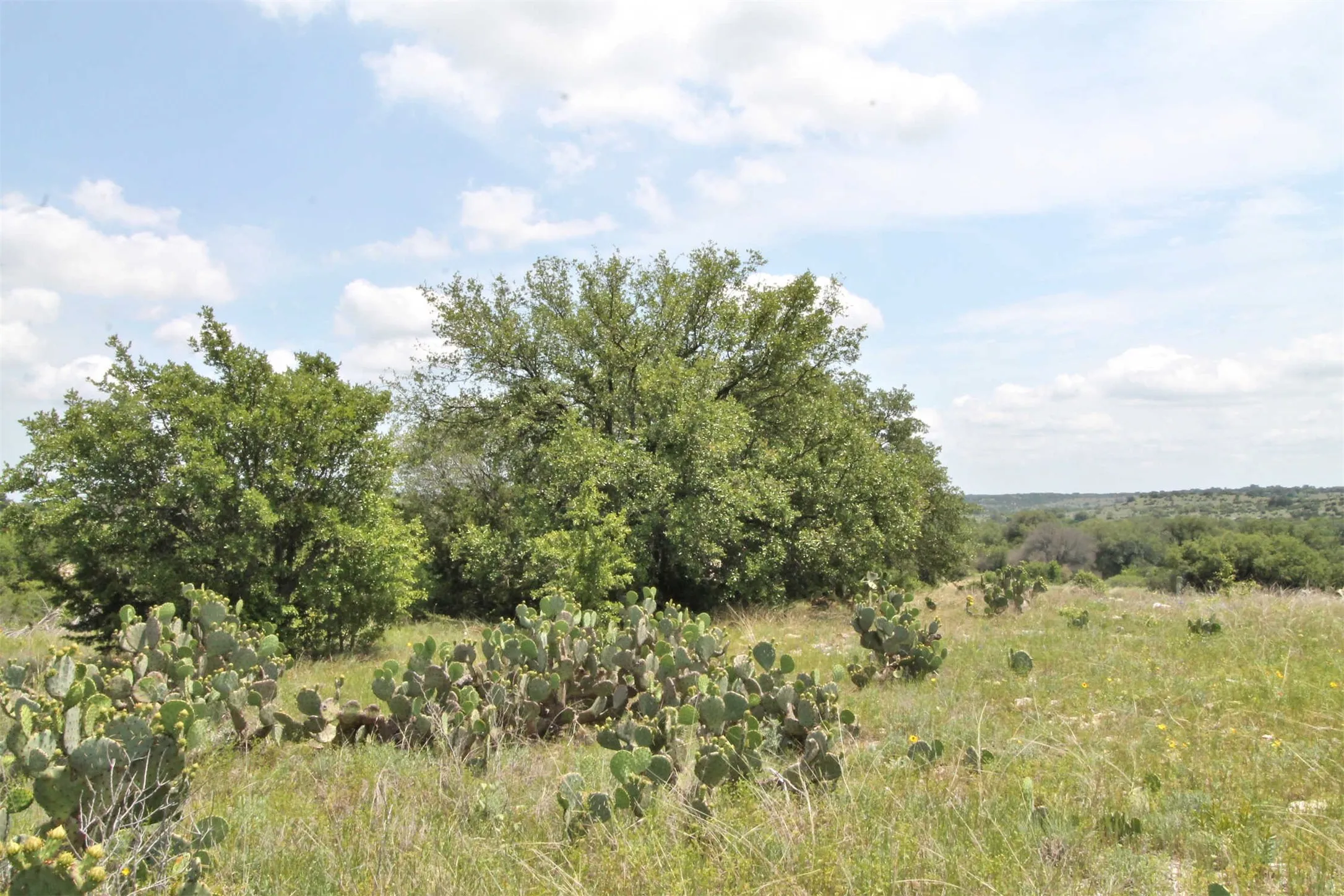 Unimproved Land For Sale in Somervell County , 1102 Bluffview Ct, Glen Rose, Texas 76043, 0, 0, Garage spaces, 0 Sqft, built in 0, Price $204,900, mls#21144086, Real Estate Agent in Glen Rose, Homes For Sale in Somervell county, Homes For Sale in Glen Rose, Realtor in Glen Rose Texas, Real Estate Brokerage Independent Realty Texas, Luminita Cordes Realtor