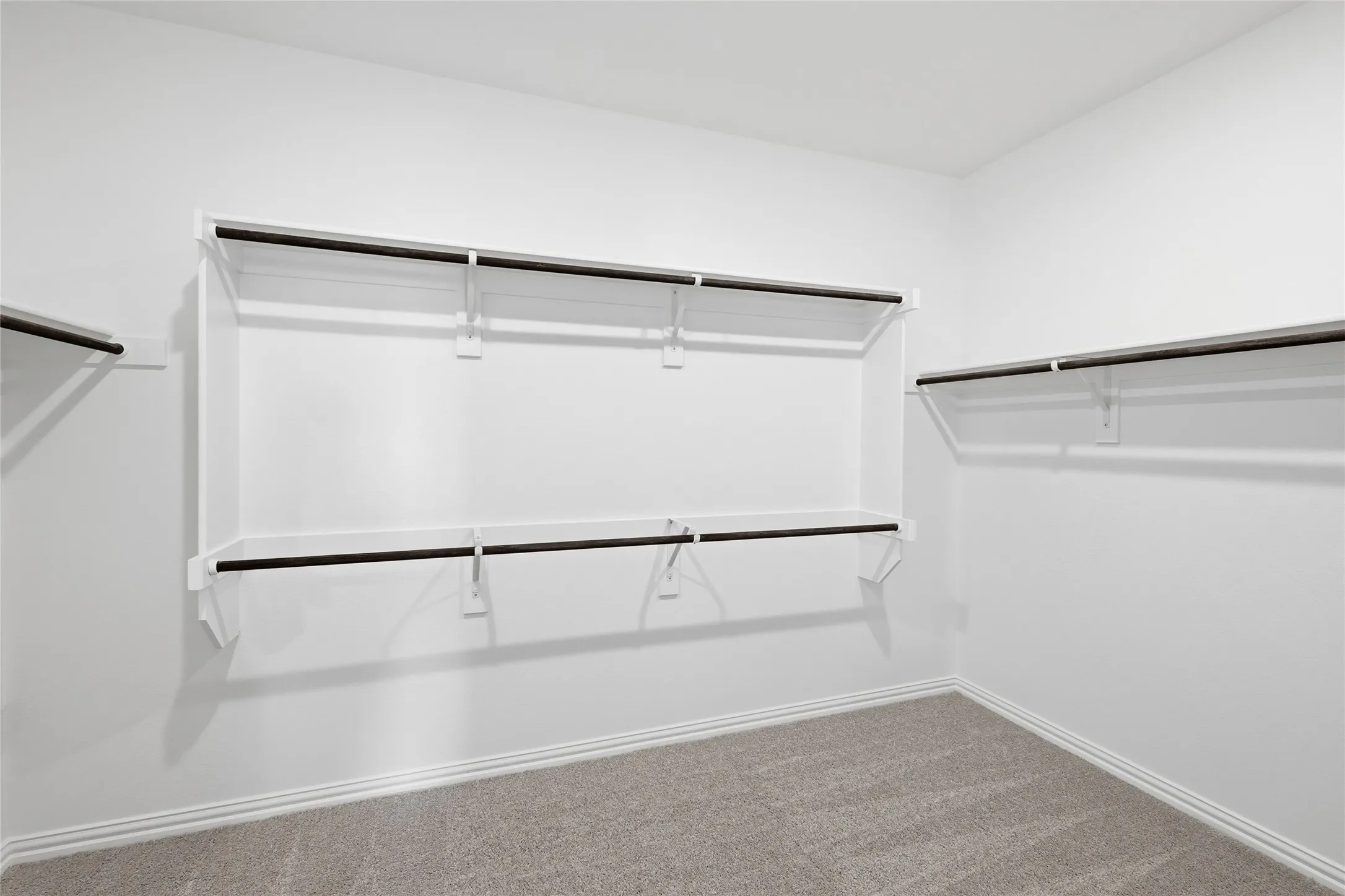 Spacious closet featuring white shelving and black hanging rods, gray carpet flooring, and white baseboards