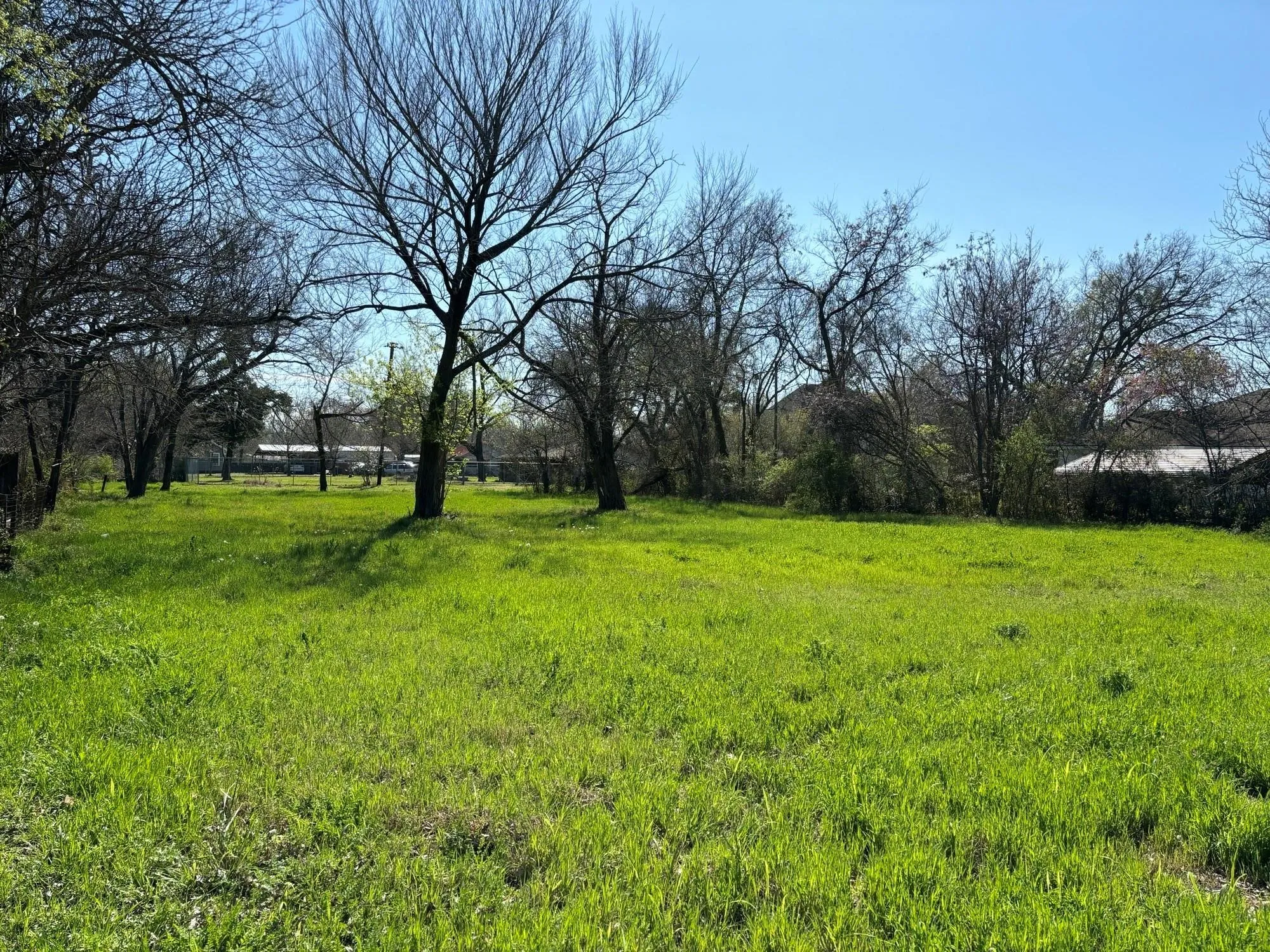 Unimproved Land For Sale in Delta County , 740 E Waco Avenue, Cooper, Texas 75432, 0, 0, Garage spaces, 0 Sqft, built in 0, Price $25,000, mls#21149768, Real Estate Agent in Cooper, Homes For Sale in Delta county, Homes For Sale in Cooper, Realtor in Cooper Texas, Real Estate Brokerage Independent Realty Texas, Luminita Cordes Realtor