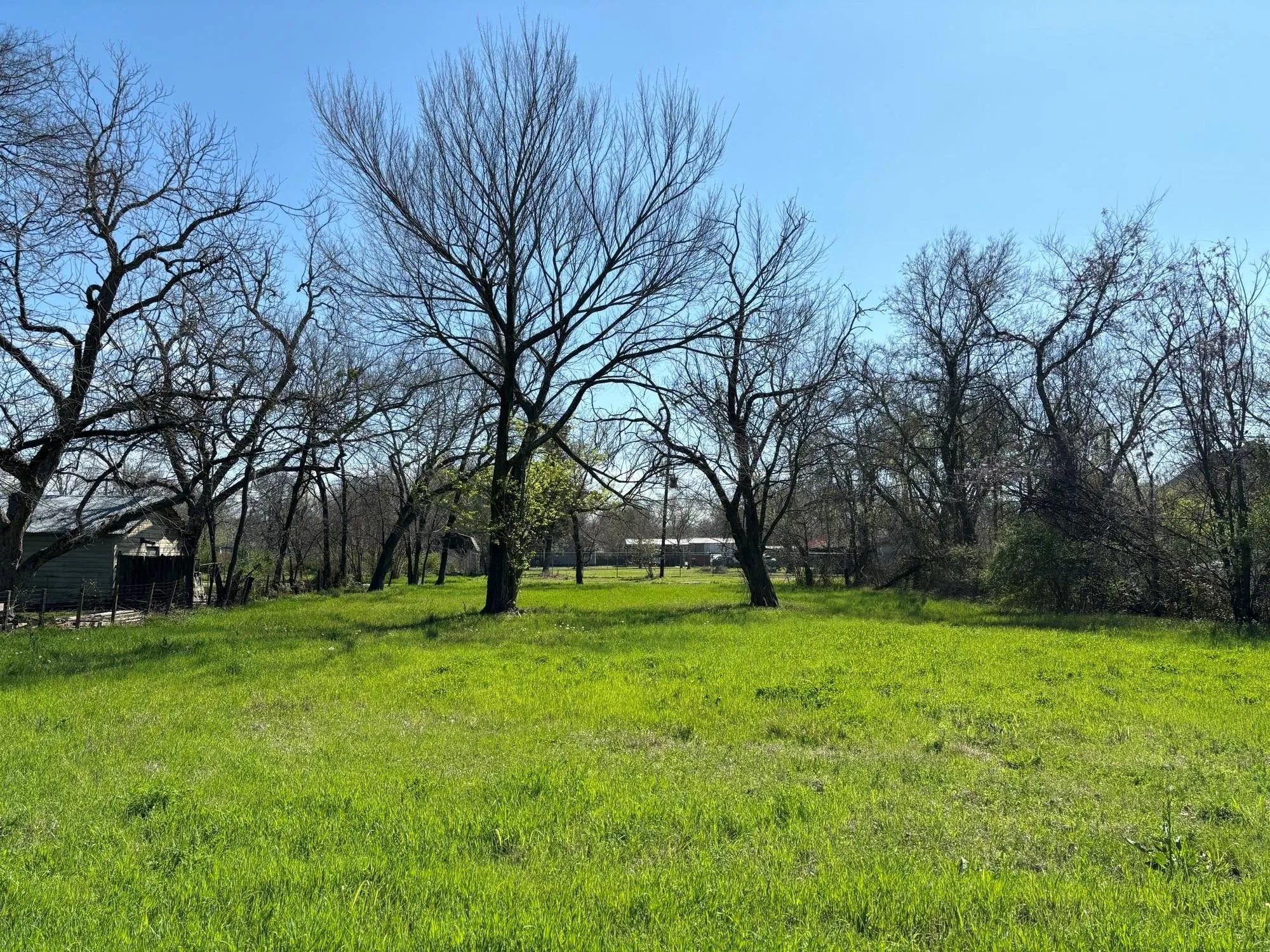 Unimproved Land For Sale in Delta County , 740 E Waco Avenue, Cooper, Texas 75432, 0, 0, Garage spaces, 0 Sqft, built in 0, Price $25,000, mls#21149768, Real Estate Agent in Cooper, Homes For Sale in Delta county, Homes For Sale in Cooper, Realtor in Cooper Texas, Real Estate Brokerage Independent Realty Texas, Luminita Cordes Realtor