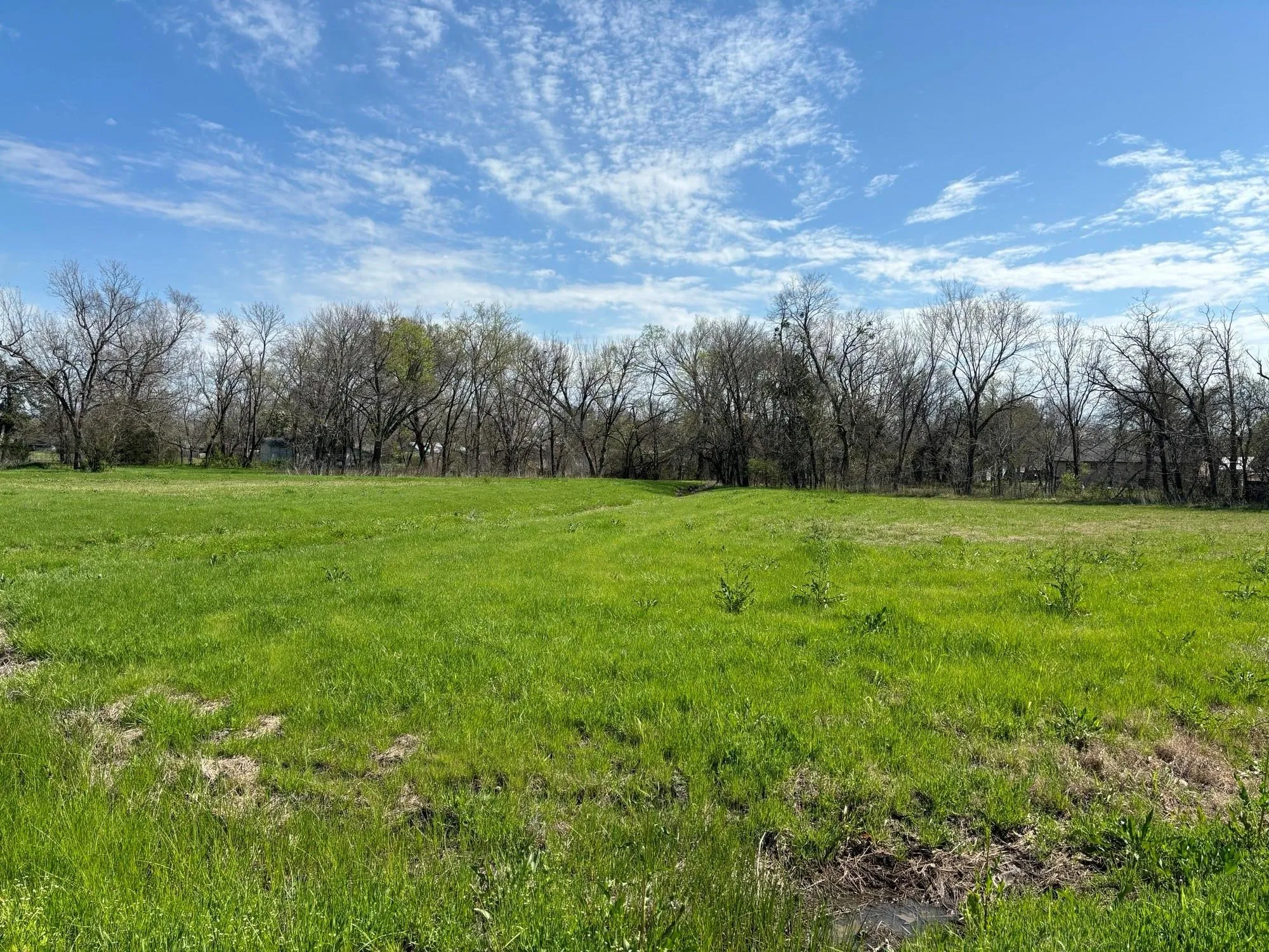 Unimproved Land For Sale in Delta County , 9 SW 6TH, Cooper, Texas 75432, 0, 0, Garage spaces, 0 Sqft, built in 0, Price $35,000, mls#21149791, Real Estate Agent in Cooper, Homes For Sale in Delta county, Homes For Sale in Cooper, Realtor in Cooper Texas, Real Estate Brokerage Independent Realty Texas, Luminita Cordes Realtor