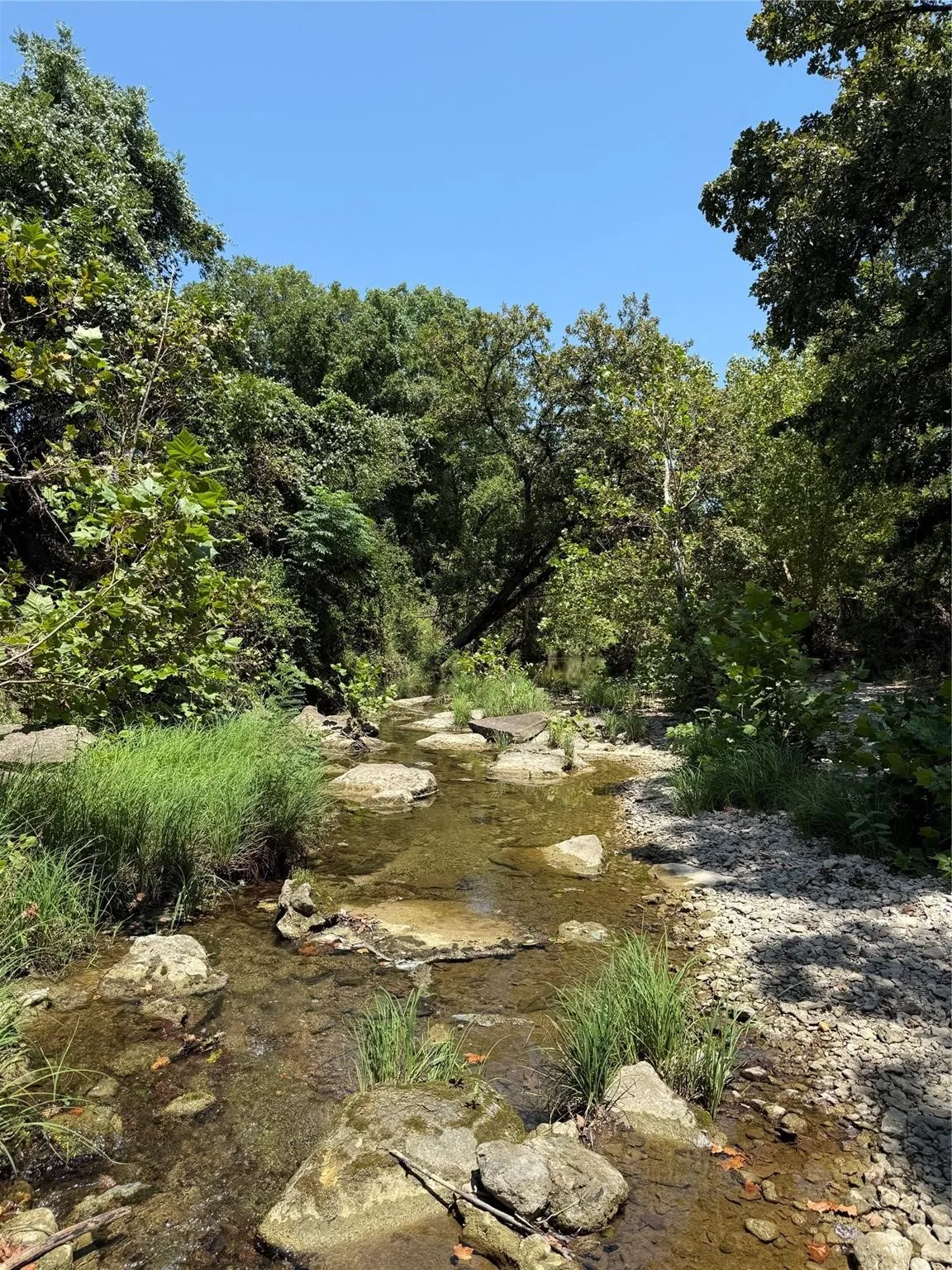 Beautiful Creek