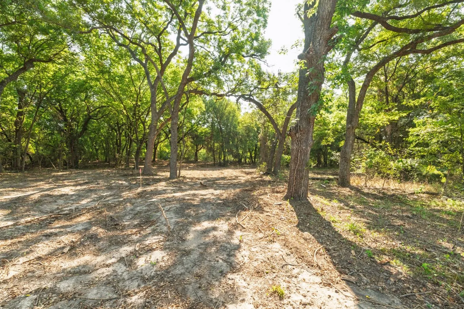Improved Land For Sale in Hood County , 2700 Overton Court, Granbury, Texas 76048, 0, 0, Garage spaces, 0 Sqft, built in 0, Price $495,000, mls#21149885, Real Estate Agent in Granbury, Homes For Sale in Hood county, Homes For Sale in Granbury, Realtor in Granbury Texas, Real Estate Brokerage Independent Realty Texas, Luminita Cordes Realtor