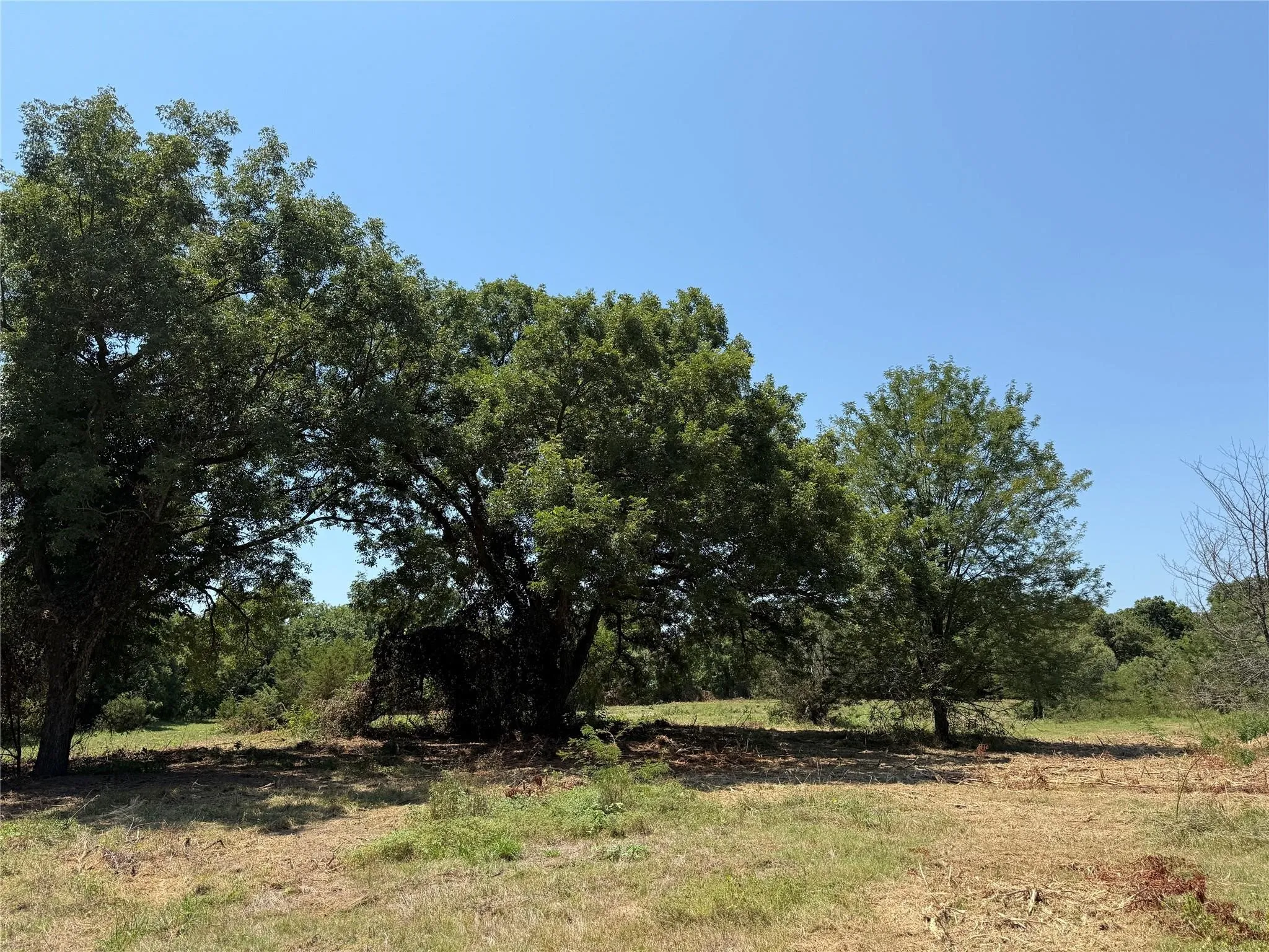 Improved Land For Sale in Hood County , 2700 Overton Court, Granbury, Texas 76048, 0, 0, Garage spaces, 0 Sqft, built in 0, Price $495,000, mls#21149885, Real Estate Agent in Granbury, Homes For Sale in Hood county, Homes For Sale in Granbury, Realtor in Granbury Texas, Real Estate Brokerage Independent Realty Texas, Luminita Cordes Realtor