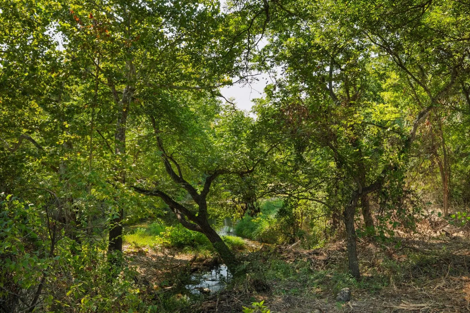 Improved Land For Sale in Hood County , 2700 Overton Court, Granbury, Texas 76048, 0, 0, Garage spaces, 0 Sqft, built in 0, Price $495,000, mls#21149885, Real Estate Agent in Granbury, Homes For Sale in Hood county, Homes For Sale in Granbury, Realtor in Granbury Texas, Real Estate Brokerage Independent Realty Texas, Luminita Cordes Realtor