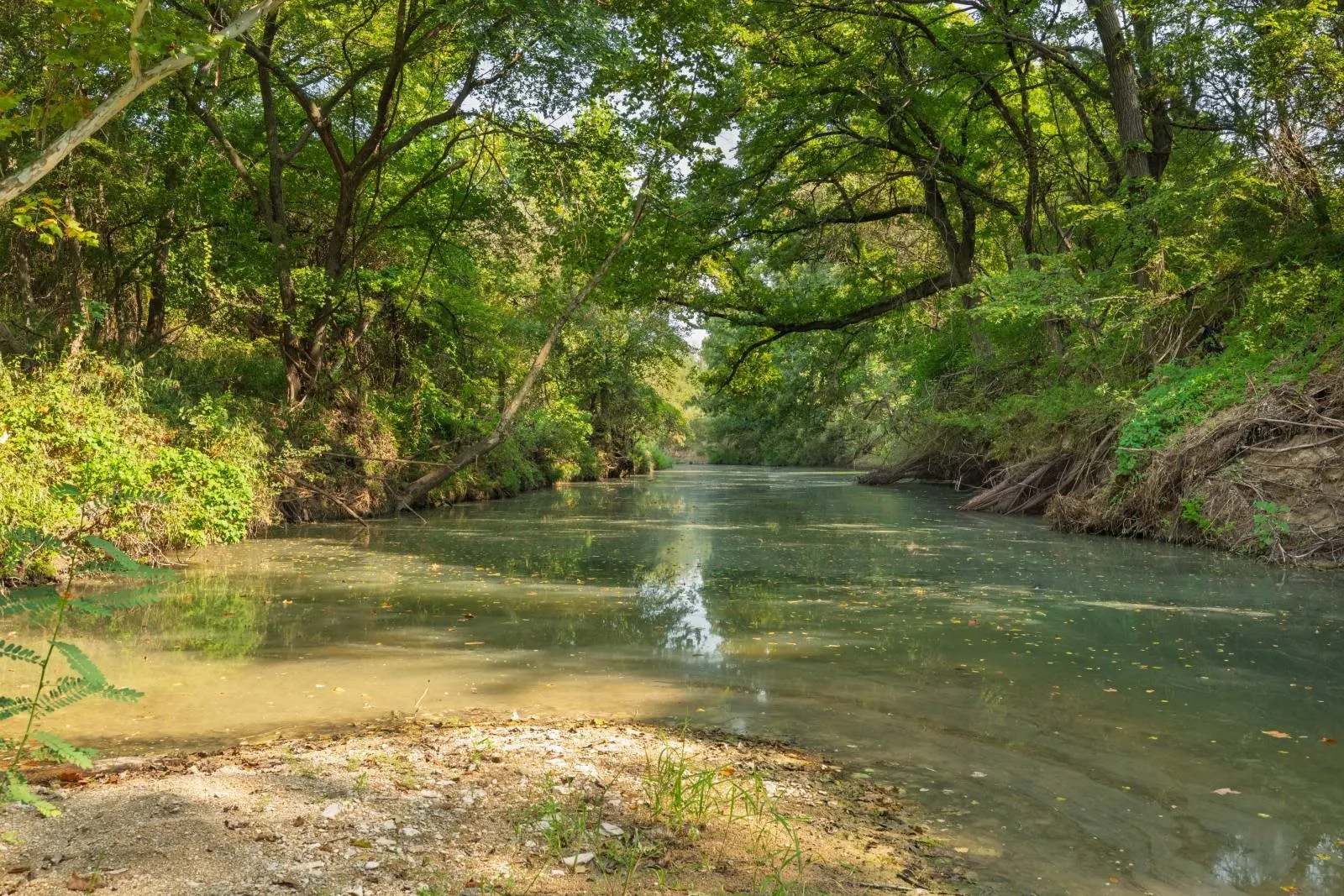 Beautiful Creek