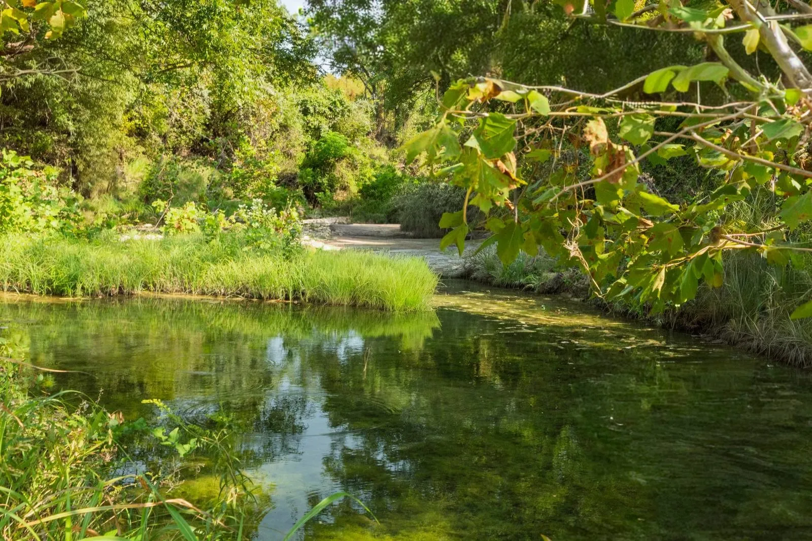 Improved Land For Sale in Hood County , 2700 Overton Court, Granbury, Texas 76048, 0, 0, Garage spaces, 0 Sqft, built in 0, Price $495,000, mls#21149885, Real Estate Agent in Granbury, Homes For Sale in Hood county, Homes For Sale in Granbury, Realtor in Granbury Texas, Real Estate Brokerage Independent Realty Texas, Luminita Cordes Realtor