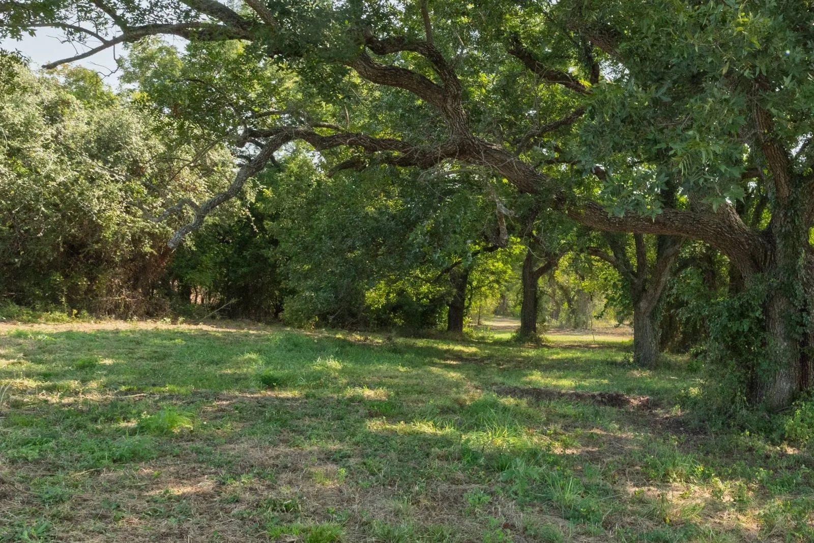 Improved Land For Sale in Hood County , 2700 Overton Court, Granbury, Texas 76048, 0, 0, Garage spaces, 0 Sqft, built in 0, Price $495,000, mls#21149885, Real Estate Agent in Granbury, Homes For Sale in Hood county, Homes For Sale in Granbury, Realtor in Granbury Texas, Real Estate Brokerage Independent Realty Texas, Luminita Cordes Realtor