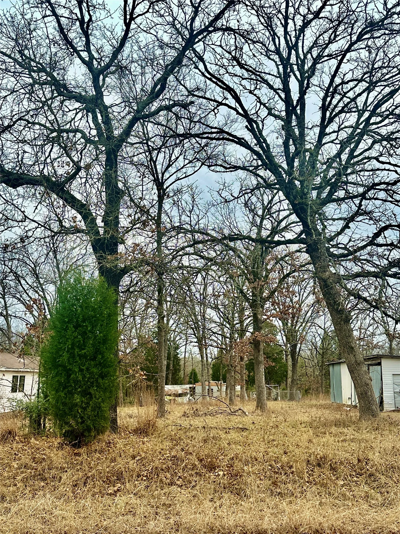 Unimproved Land For Sale in Henderson County , 14543 San Jacinto Drive, Log Cabin, Texas 75148, 0, 0, Garage spaces, 0 Sqft, built in 0, Price $10,500, mls#21150353, Real Estate Agent in Log Cabin, Homes For Sale in Henderson county, Homes For Sale in Log Cabin, Realtor in Log Cabin Texas, Real Estate Brokerage Independent Realty Texas, Luminita Cordes Realtor