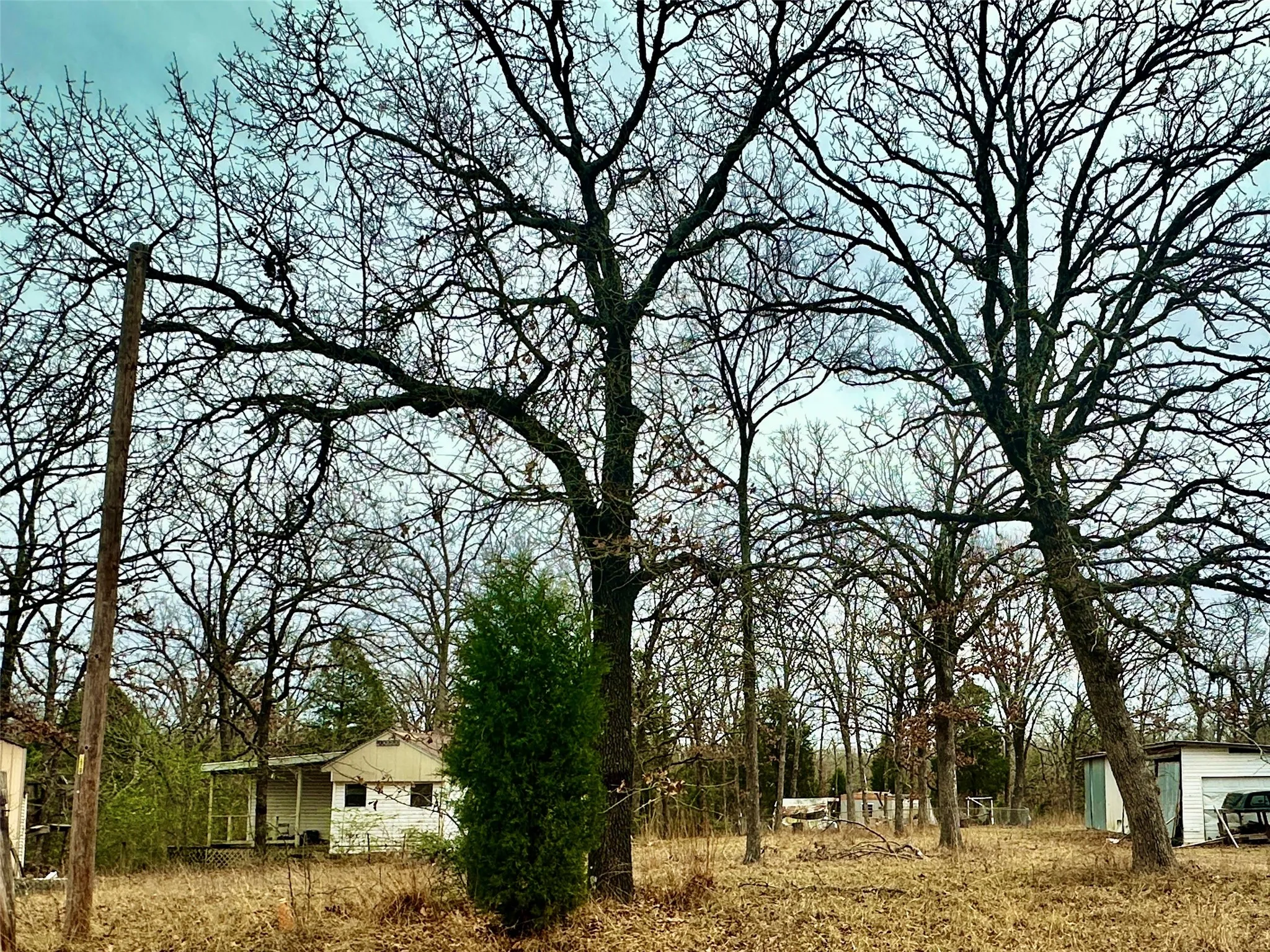 view from road