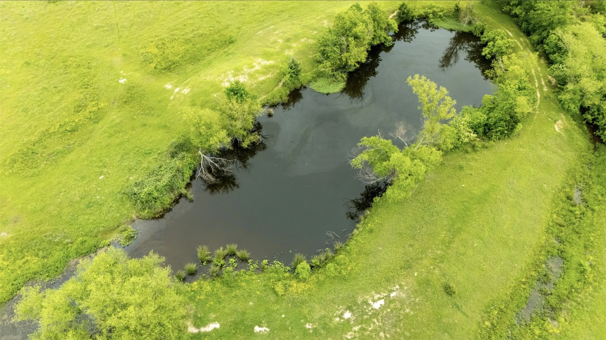 Drone / aerial view of a nearby body of water