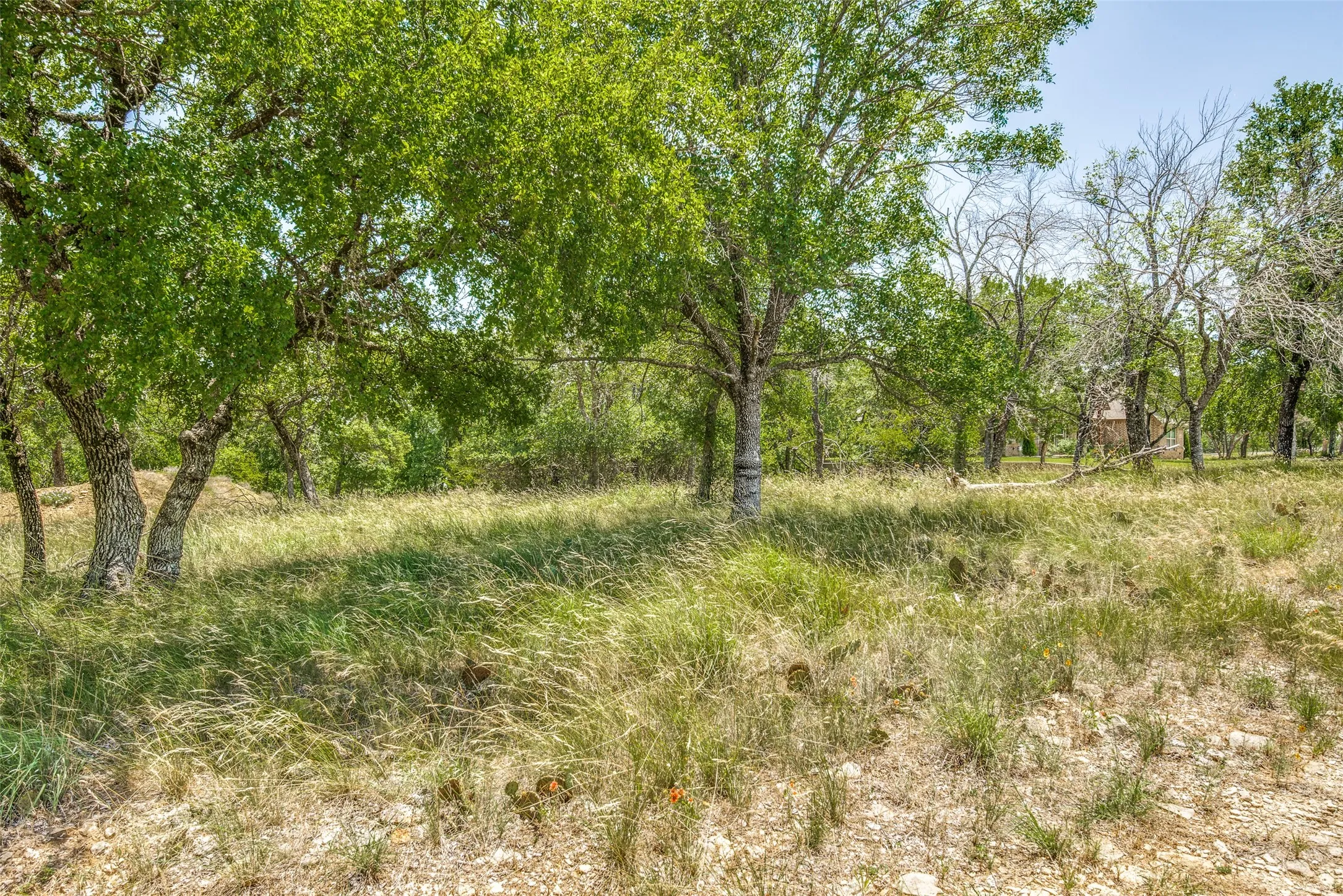Unimproved Land For Sale in Wise County , LOT 41 Grand Harbor Boulevard, Chico, Texas 76431, 0, 0, Garage spaces, 0 Sqft, built in 2005, mls#21149840, Real Estate Agent in Chico, Homes For Sale in Wise county, Homes For Sale in Chico, Realtor in Chico Texas, Real Estate Brokerage Independent Realty Texas, Luminita Cordes Realtor