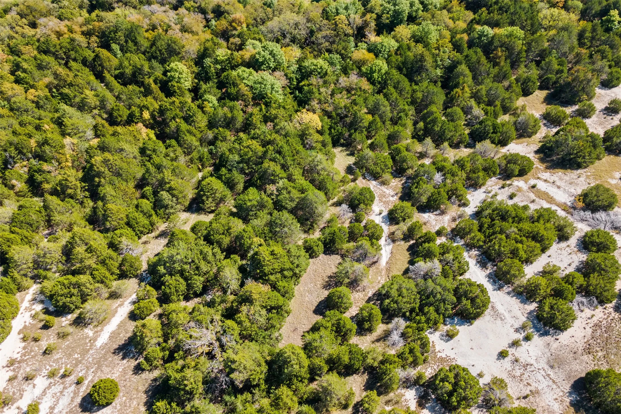 Improved Land For Sale in Dallas County , 1198 S Clark Road, Cedar Hill, Texas 75104, 0, 0, Garage spaces, 0 Sqft, built in 0, Price $3,500,000, mls#21148862, Real Estate Agent in Cedar Hill, Homes For Sale in Dallas county, Homes For Sale in Cedar Hill, Realtor in Cedar Hill Texas, Real Estate Brokerage Independent Realty Texas, Luminita Cordes Realtor