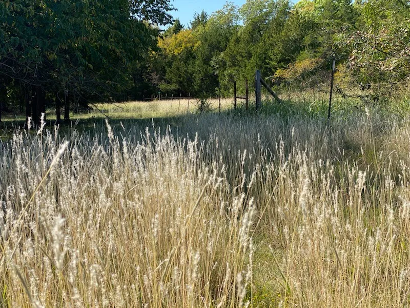 Improved Land For Sale in Dallas County , 1198 S Clark Road, Cedar Hill, Texas 75104, 0, 0, Garage spaces, 0 Sqft, built in 0, Price $3,500,000, mls#21148862, Real Estate Agent in Cedar Hill, Homes For Sale in Dallas county, Homes For Sale in Cedar Hill, Realtor in Cedar Hill Texas, Real Estate Brokerage Independent Realty Texas, Luminita Cordes Realtor