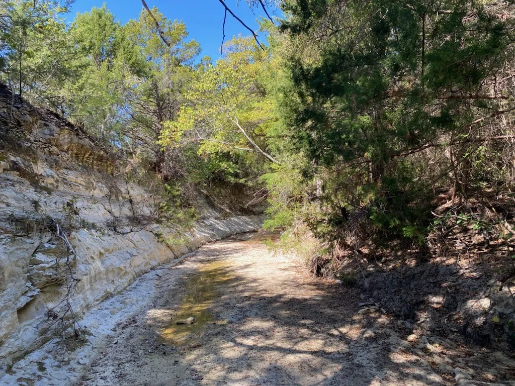 Improved Land For Sale in Dallas County , 1198 S Clark Road, Cedar Hill, Texas 75104, 0, 0, Garage spaces, 0 Sqft, built in 0, Price $3,500,000, mls#21148862, Real Estate Agent in Cedar Hill, Homes For Sale in Dallas county, Homes For Sale in Cedar Hill, Realtor in Cedar Hill Texas, Real Estate Brokerage Independent Realty Texas, Luminita Cordes Realtor