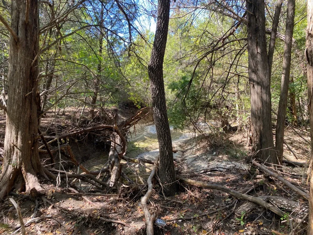 Improved Land For Sale in Dallas County , 1198 S Clark Road, Cedar Hill, Texas 75104, 0, 0, Garage spaces, 0 Sqft, built in 0, Price $3,500,000, mls#21148862, Real Estate Agent in Cedar Hill, Homes For Sale in Dallas county, Homes For Sale in Cedar Hill, Realtor in Cedar Hill Texas, Real Estate Brokerage Independent Realty Texas, Luminita Cordes Realtor
