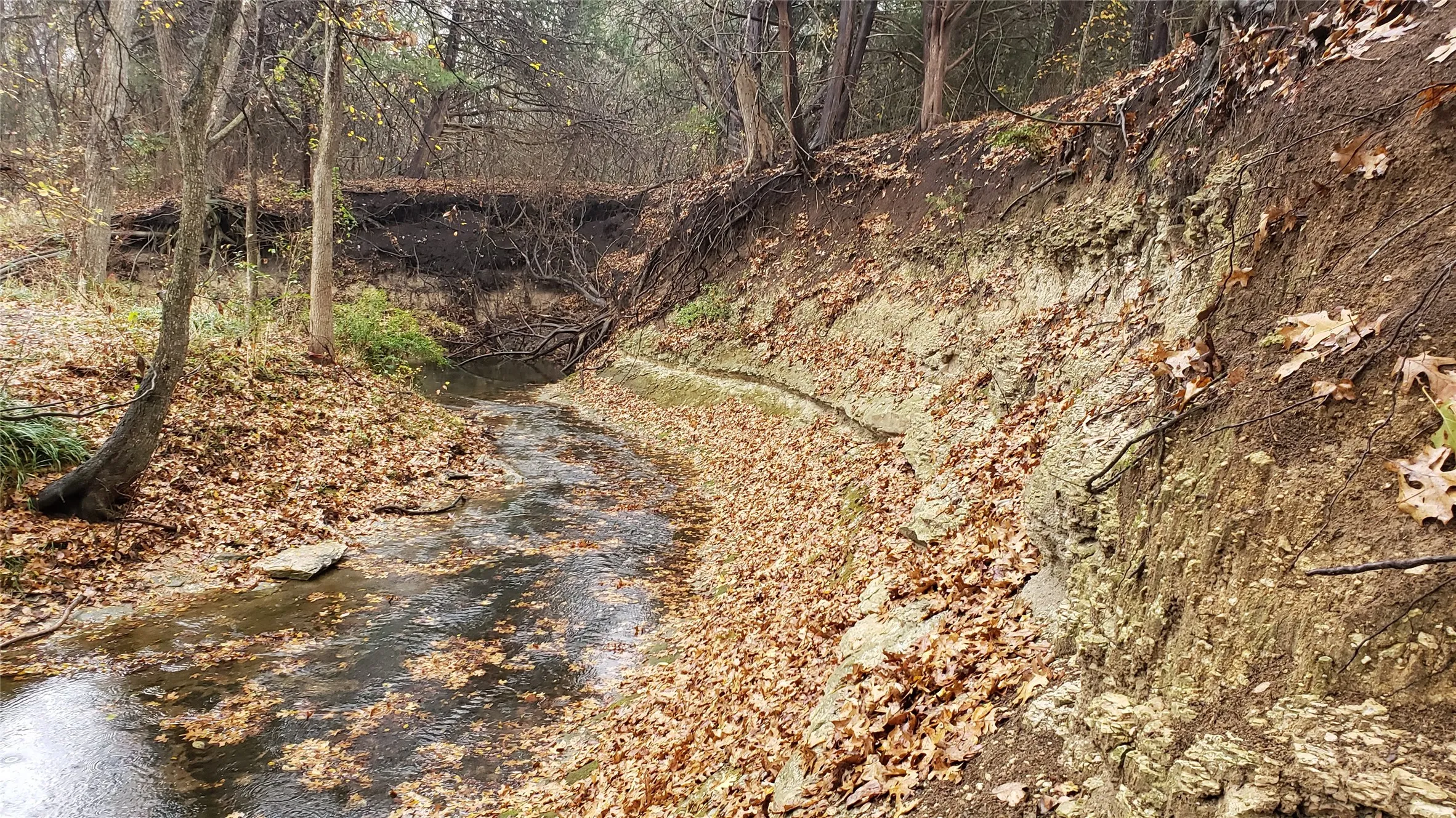 Improved Land For Sale in Dallas County , 1198 S Clark Road, Cedar Hill, Texas 75104, 0, 0, Garage spaces, 0 Sqft, built in 0, Price $3,500,000, mls#21148862, Real Estate Agent in Cedar Hill, Homes For Sale in Dallas county, Homes For Sale in Cedar Hill, Realtor in Cedar Hill Texas, Real Estate Brokerage Independent Realty Texas, Luminita Cordes Realtor