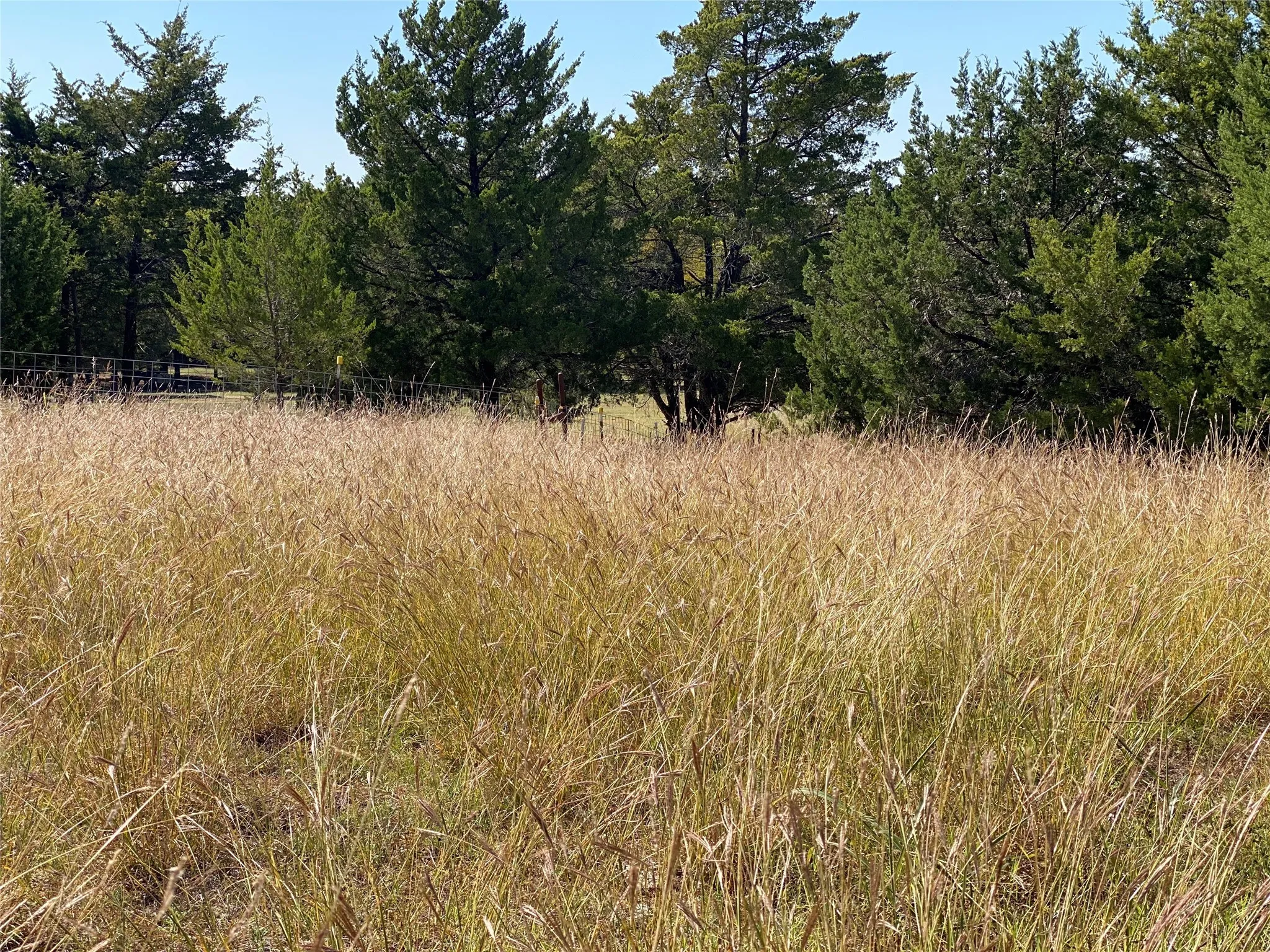 Improved Land For Sale in Dallas County , 1198 S Clark Road, Cedar Hill, Texas 75104, 0, 0, Garage spaces, 0 Sqft, built in 0, Price $3,500,000, mls#21148862, Real Estate Agent in Cedar Hill, Homes For Sale in Dallas county, Homes For Sale in Cedar Hill, Realtor in Cedar Hill Texas, Real Estate Brokerage Independent Realty Texas, Luminita Cordes Realtor