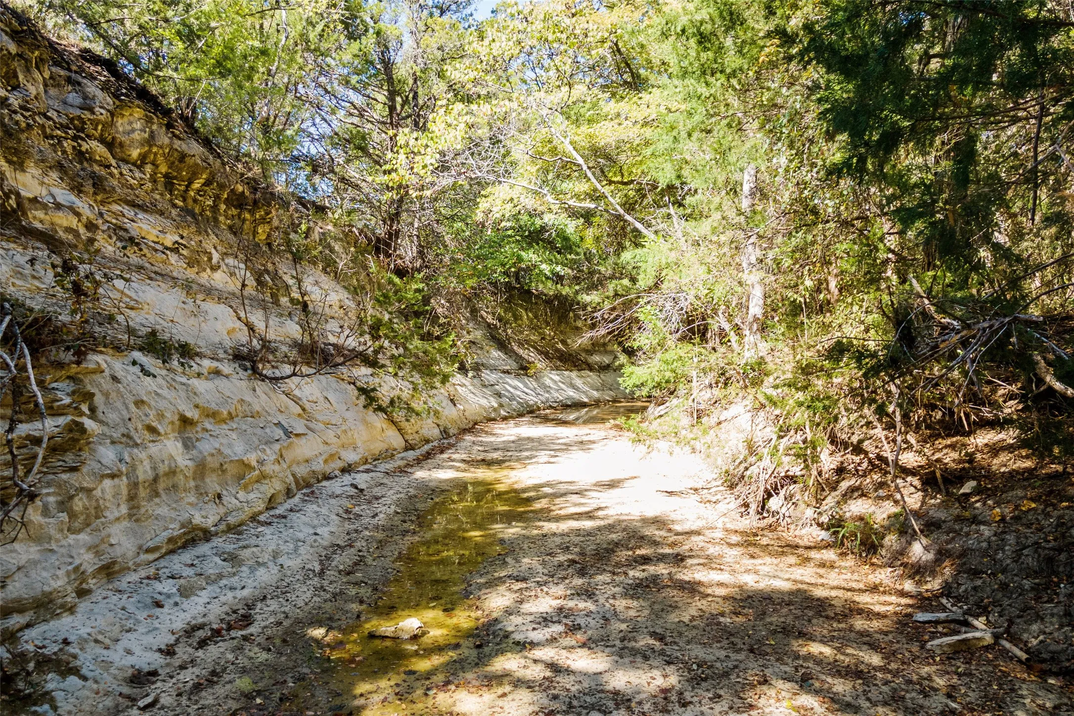 Improved Land For Sale in Dallas County , 1198 S Clark Road, Cedar Hill, Texas 75104, 0, 0, Garage spaces, 0 Sqft, built in 0, Price $3,500,000, mls#21148862, Real Estate Agent in Cedar Hill, Homes For Sale in Dallas county, Homes For Sale in Cedar Hill, Realtor in Cedar Hill Texas, Real Estate Brokerage Independent Realty Texas, Luminita Cordes Realtor