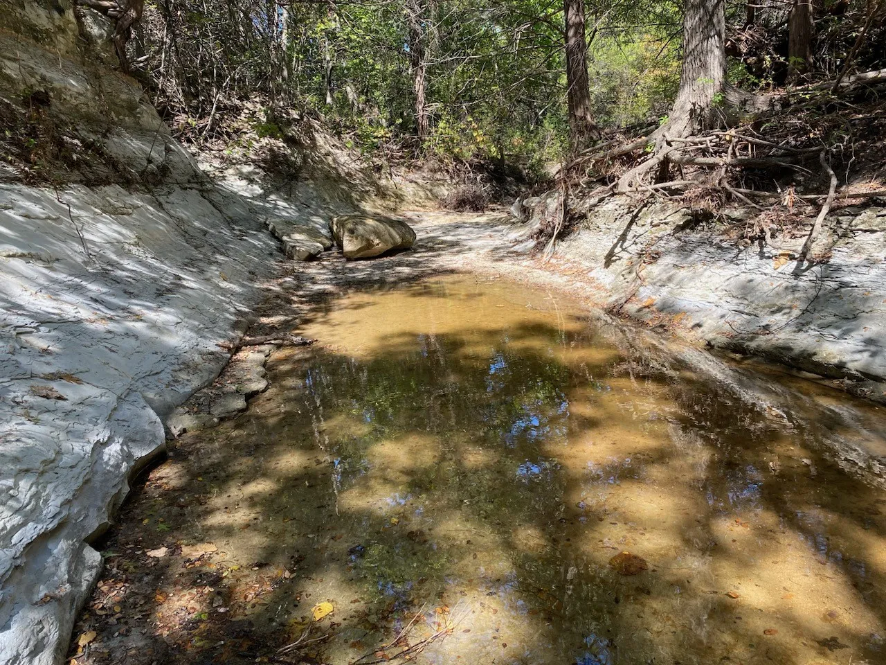 Improved Land For Sale in Dallas County , 1198 S Clark Road, Cedar Hill, Texas 75104, 0, 0, Garage spaces, 0 Sqft, built in 0, Price $3,500,000, mls#21148862, Real Estate Agent in Cedar Hill, Homes For Sale in Dallas county, Homes For Sale in Cedar Hill, Realtor in Cedar Hill Texas, Real Estate Brokerage Independent Realty Texas, Luminita Cordes Realtor