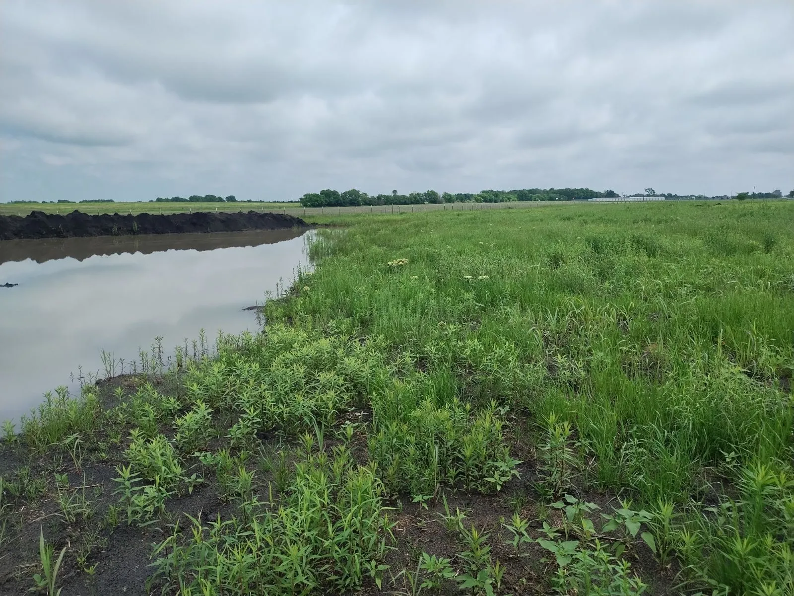 Improved Land For Sale in Delta County , 4225 County Road 4225, Cooper, Texas 75432, 0, 0, Garage spaces, 0 Sqft, built in 0, Price $160,000, mls#21150788, Real Estate Agent in Cooper, Homes For Sale in Delta county, Homes For Sale in Cooper, Realtor in Cooper Texas, Real Estate Brokerage Independent Realty Texas, Luminita Cordes Realtor