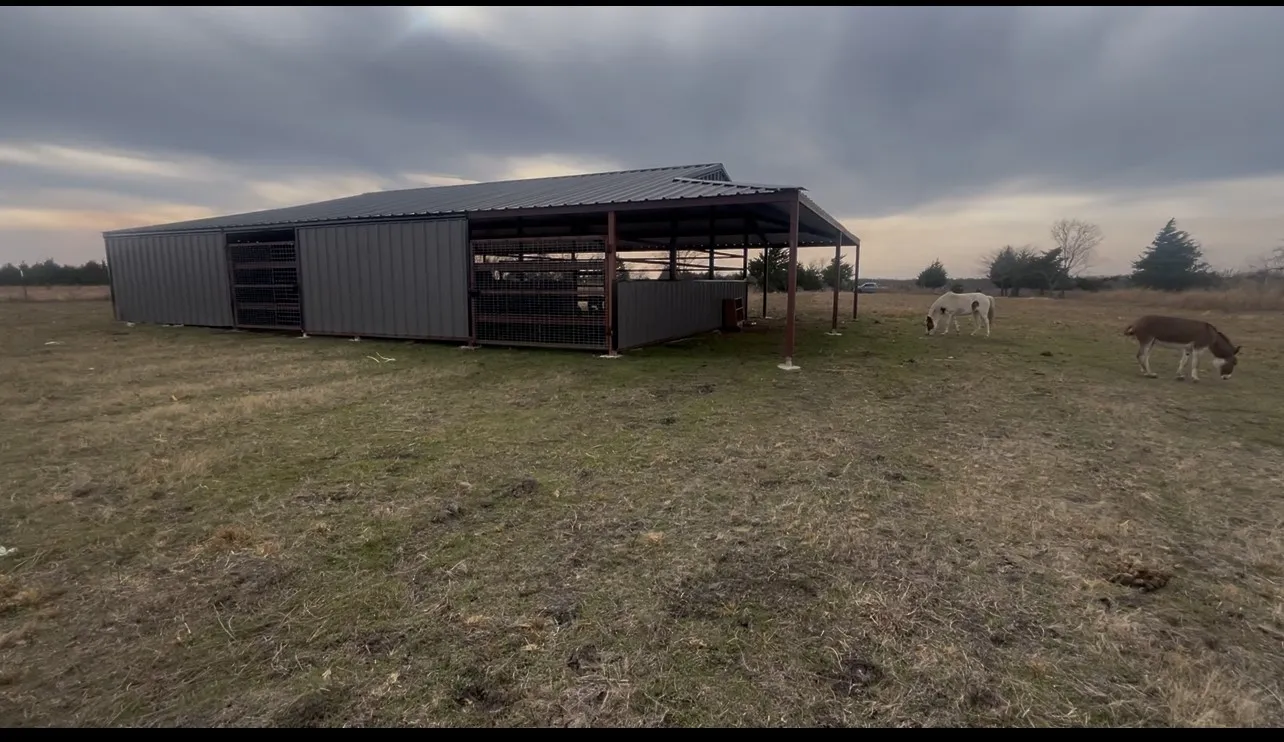 Improved Land For Sale in Delta County , 4225 County Road 4225, Cooper, Texas 75432, 0, 0, Garage spaces, 0 Sqft, built in 0, Price $160,000, mls#21150788, Real Estate Agent in Cooper, Homes For Sale in Delta county, Homes For Sale in Cooper, Realtor in Cooper Texas, Real Estate Brokerage Independent Realty Texas, Luminita Cordes Realtor