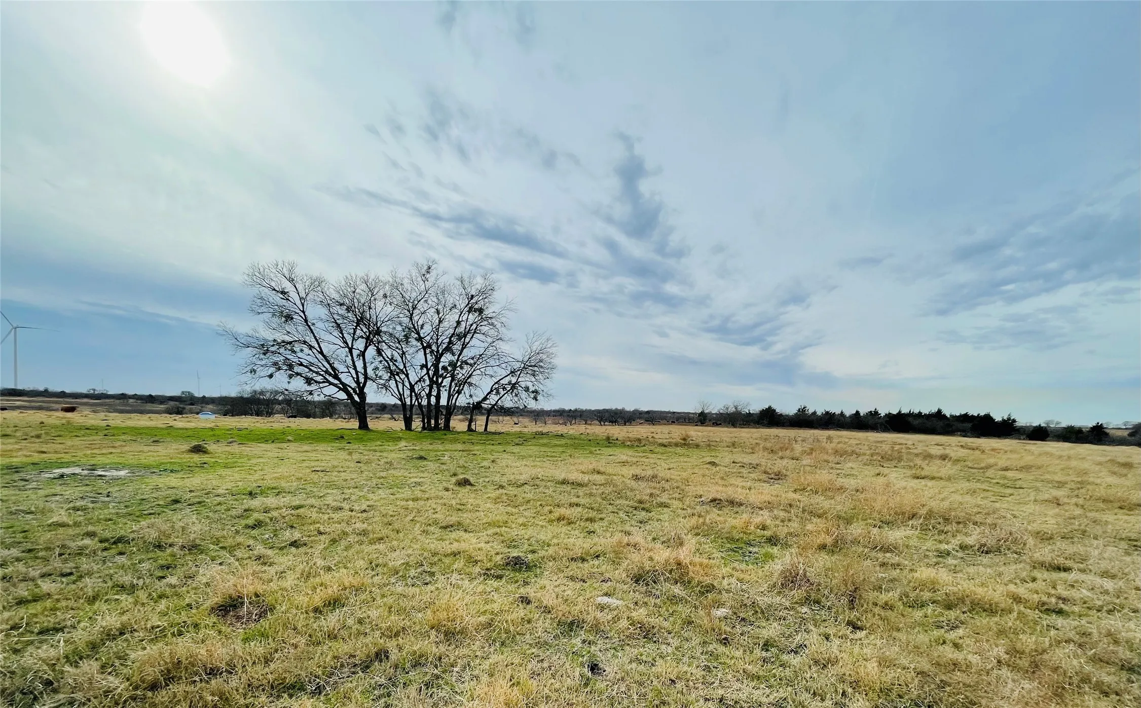 Unimproved Land For Sale in Navarro County , 21517 SW County Road 4040, Dawson, Texas 76639, 0, 0, Garage spaces, 0 Sqft, built in 0, mls#21150570, Real Estate Agent in Dawson, Homes For Sale in Navarro county, Homes For Sale in Dawson, Realtor in Dawson Texas, Real Estate Brokerage Independent Realty Texas, Luminita Cordes Realtor