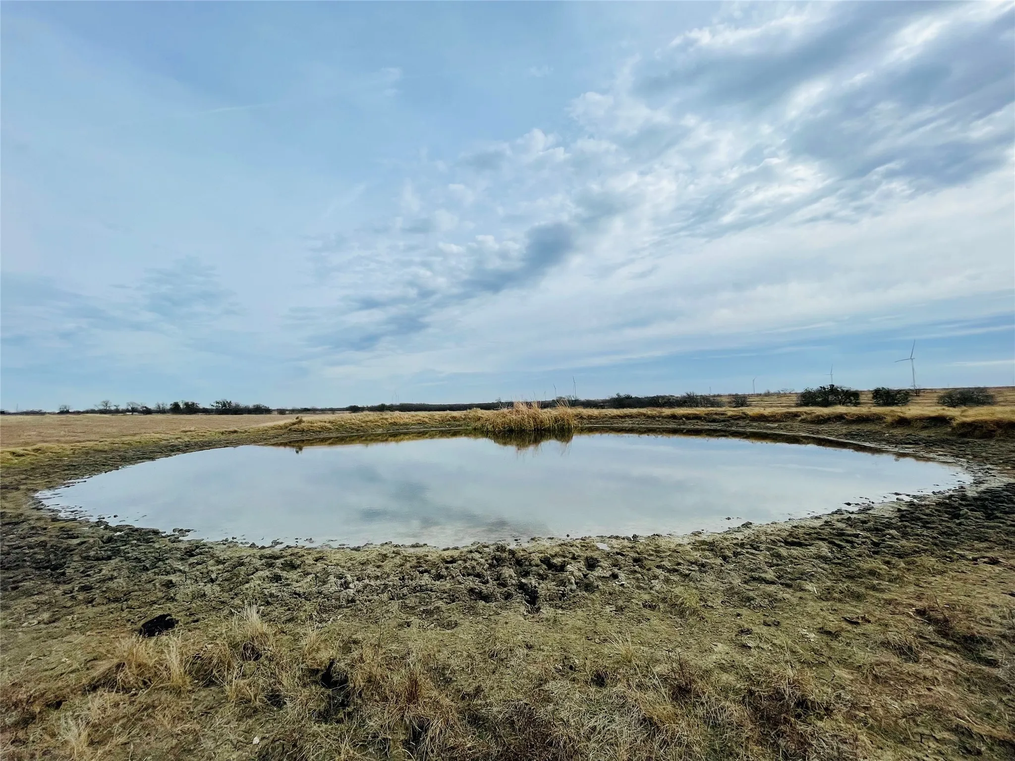 Unimproved Land For Sale in Navarro County , 21517 SW County Road 4040, Dawson, Texas 76639, 0, 0, Garage spaces, 0 Sqft, built in 0, mls#21150570, Real Estate Agent in Dawson, Homes For Sale in Navarro county, Homes For Sale in Dawson, Realtor in Dawson Texas, Real Estate Brokerage Independent Realty Texas, Luminita Cordes Realtor