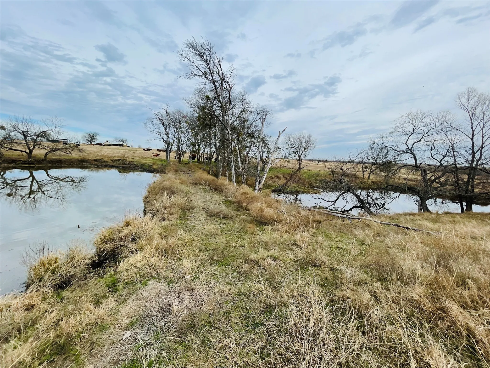 Unimproved Land For Sale in Navarro County , 21517 SW County Road 4040, Dawson, Texas 76639, 0, 0, Garage spaces, 0 Sqft, built in 0, mls#21150570, Real Estate Agent in Dawson, Homes For Sale in Navarro county, Homes For Sale in Dawson, Realtor in Dawson Texas, Real Estate Brokerage Independent Realty Texas, Luminita Cordes Realtor