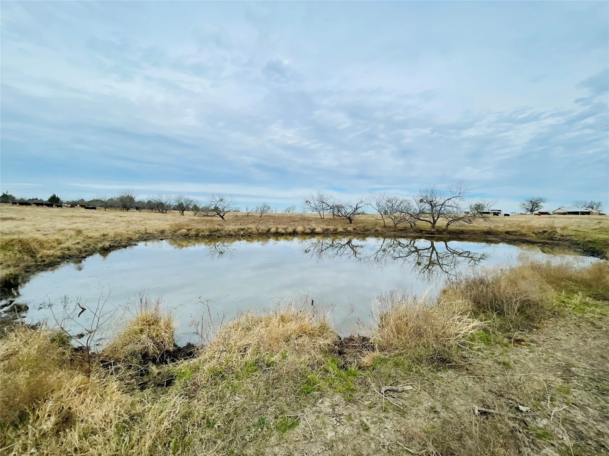 Unimproved Land For Sale in Navarro County , 21517 SW County Road 4040, Dawson, Texas 76639, 0, 0, Garage spaces, 0 Sqft, built in 0, mls#21150570, Real Estate Agent in Dawson, Homes For Sale in Navarro county, Homes For Sale in Dawson, Realtor in Dawson Texas, Real Estate Brokerage Independent Realty Texas, Luminita Cordes Realtor