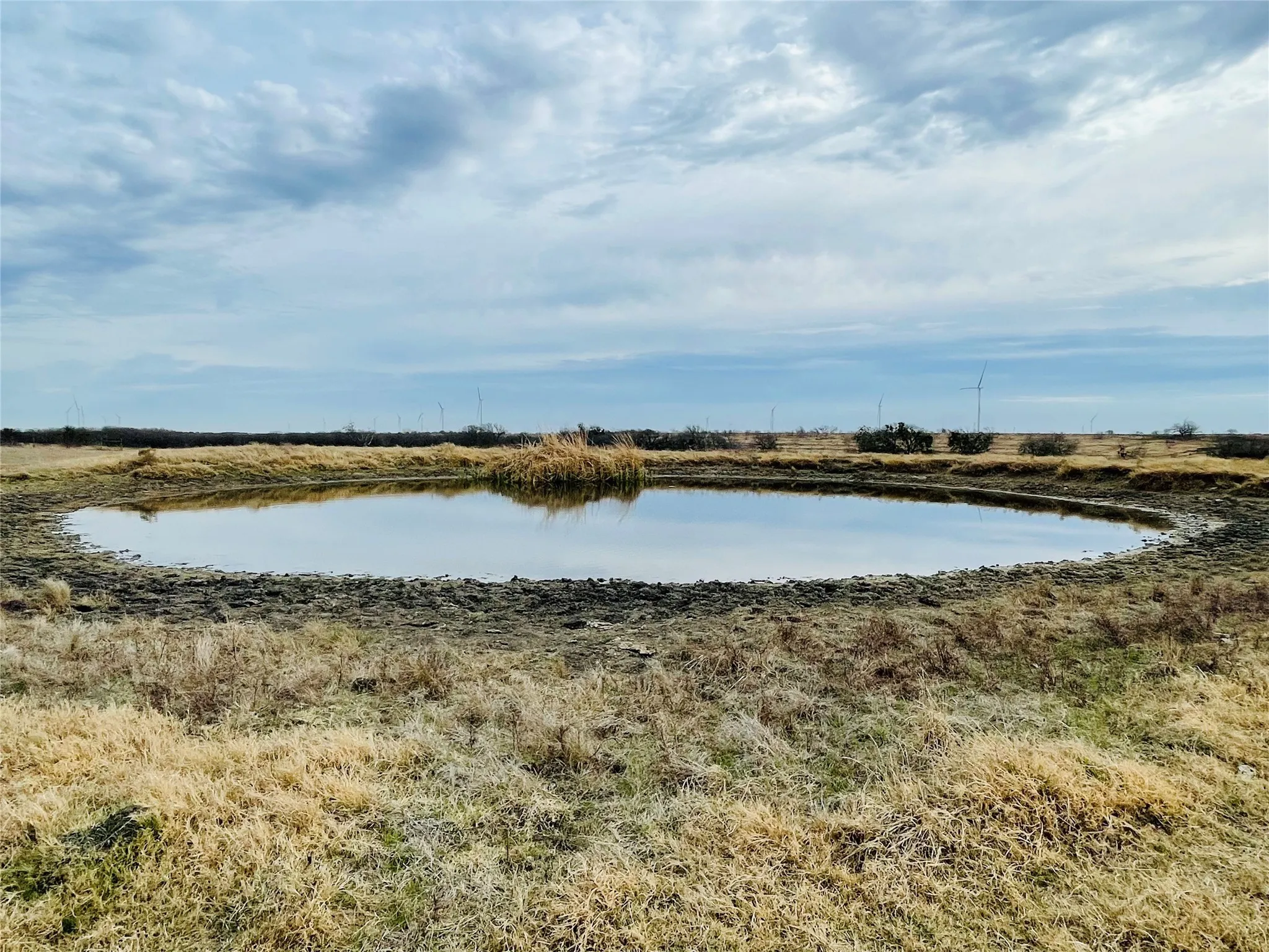 Unimproved Land For Sale in Navarro County , 21517 SW County Road 4040, Dawson, Texas 76639, 0, 0, Garage spaces, 0 Sqft, built in 0, mls#21150570, Real Estate Agent in Dawson, Homes For Sale in Navarro county, Homes For Sale in Dawson, Realtor in Dawson Texas, Real Estate Brokerage Independent Realty Texas, Luminita Cordes Realtor