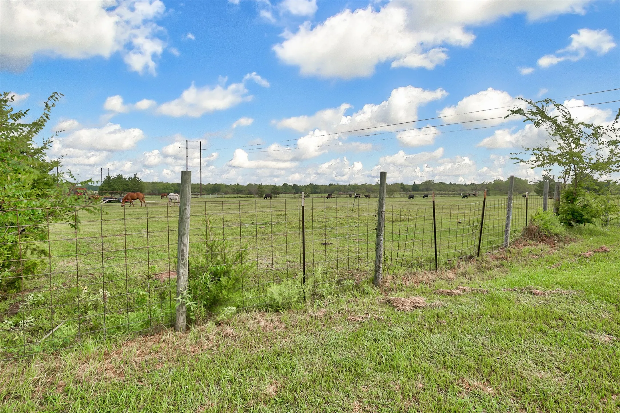 Ranch For Sale in Kaufman County , 0 Palmer Lane, Oak Grove, Texas 75142, 0, 0, Garage spaces, 0 Sqft, built in 0, mls#21150923, Real Estate Agent in Oak Grove, Homes For Sale in Kaufman county, Homes For Sale in Oak Grove, Realtor in Oak Grove Texas, Real Estate Brokerage Independent Realty Texas, Luminita Cordes Realtor