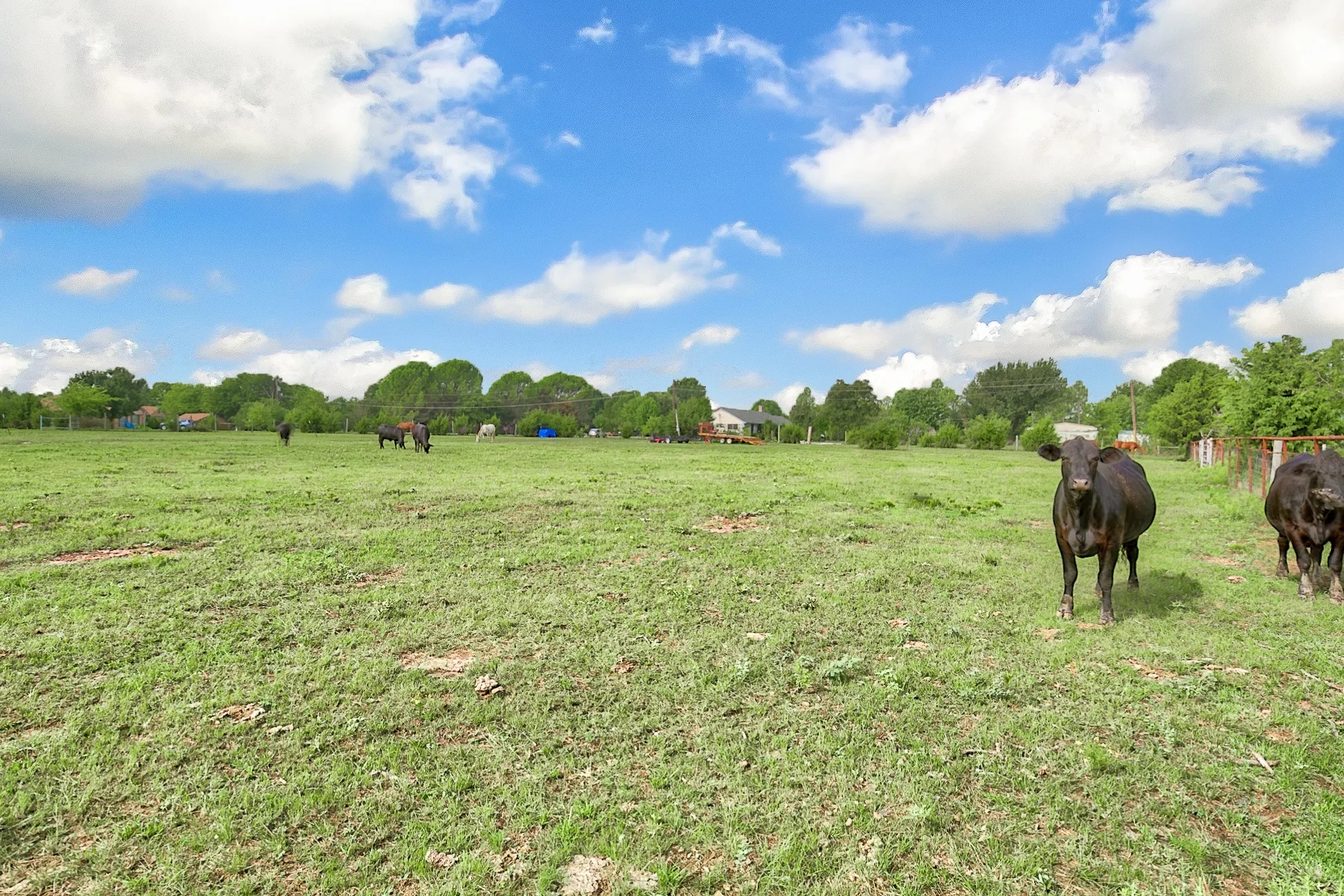 Ranch For Sale in Kaufman County , 0 Palmer Lane, Oak Grove, Texas 75142, 0, 0, Garage spaces, 0 Sqft, built in 0, mls#21150923, Real Estate Agent in Oak Grove, Homes For Sale in Kaufman county, Homes For Sale in Oak Grove, Realtor in Oak Grove Texas, Real Estate Brokerage Independent Realty Texas, Luminita Cordes Realtor