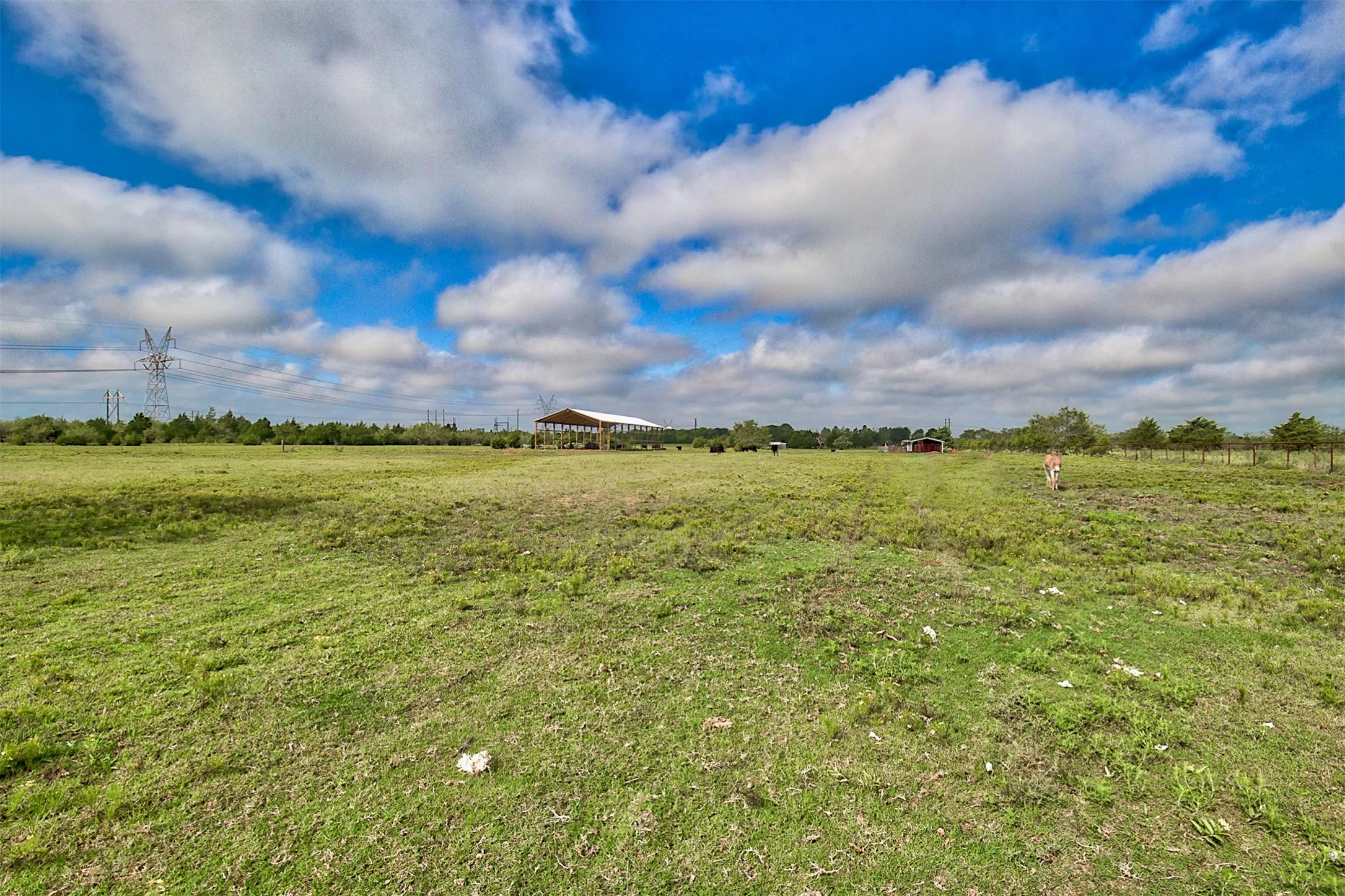 Ranch For Sale in Kaufman County , 0 Palmer Lane, Oak Grove, Texas 75142, 0, 0, Garage spaces, 0 Sqft, built in 0, mls#21150923, Real Estate Agent in Oak Grove, Homes For Sale in Kaufman county, Homes For Sale in Oak Grove, Realtor in Oak Grove Texas, Real Estate Brokerage Independent Realty Texas, Luminita Cordes Realtor