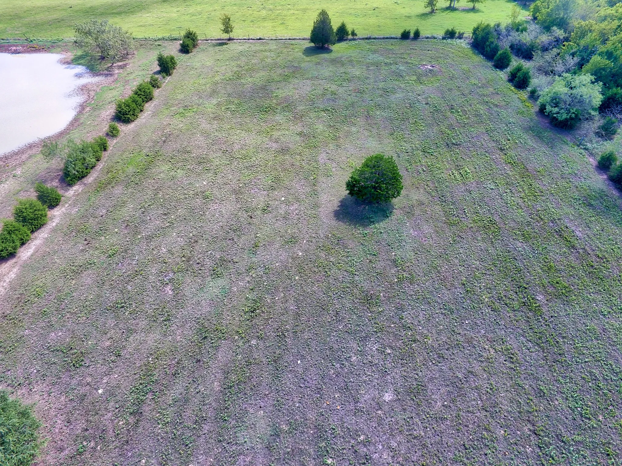 Ranch For Sale in Kaufman County , 0 Palmer Lane, Oak Grove, Texas 75142, 0, 0, Garage spaces, 0 Sqft, built in 0, mls#21150923, Real Estate Agent in Oak Grove, Homes For Sale in Kaufman county, Homes For Sale in Oak Grove, Realtor in Oak Grove Texas, Real Estate Brokerage Independent Realty Texas, Luminita Cordes Realtor