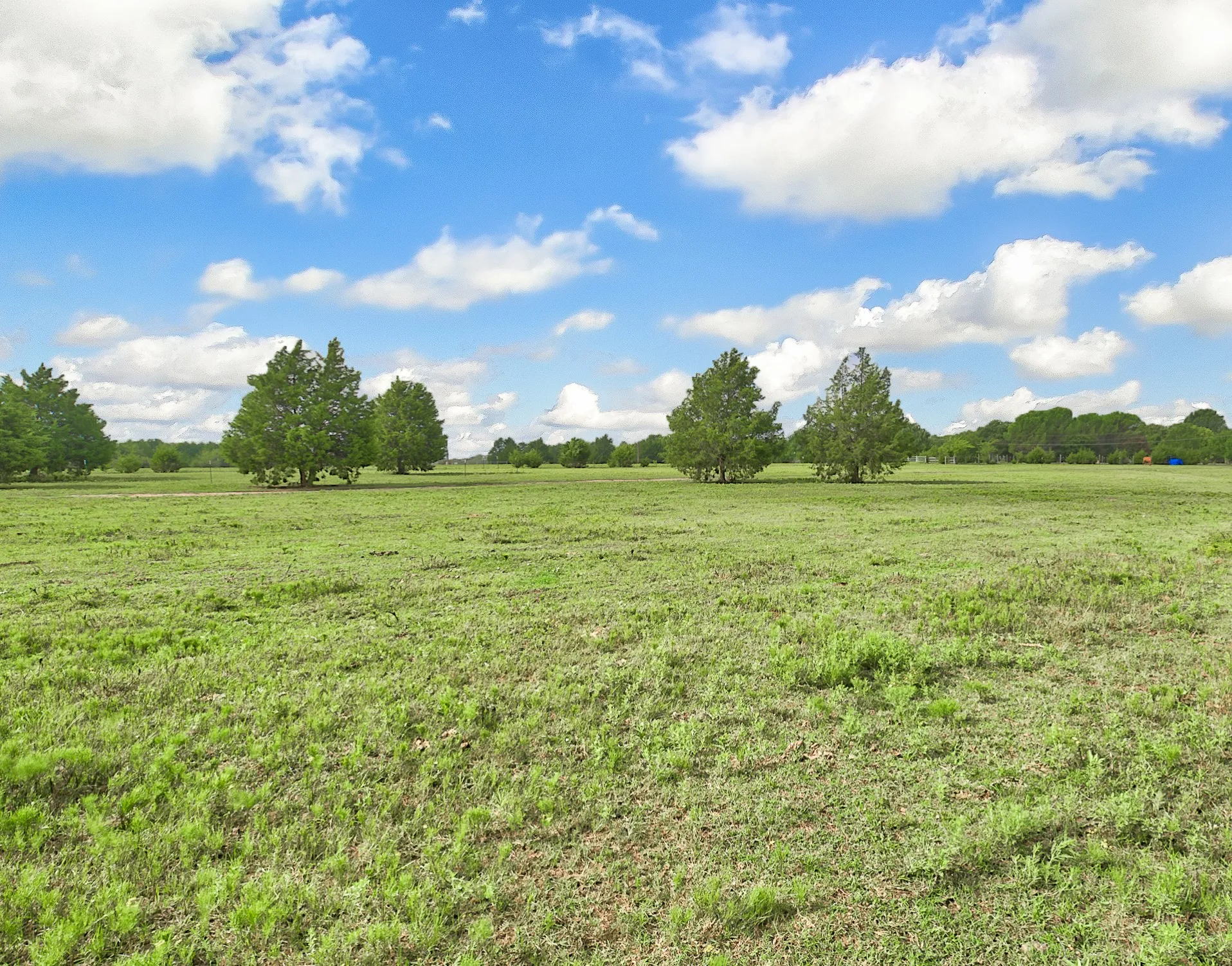 Ranch For Sale in Kaufman County , 0 Palmer Lane, Oak Grove, Texas 75142, 0, 0, Garage spaces, 0 Sqft, built in 0, mls#21150923, Real Estate Agent in Oak Grove, Homes For Sale in Kaufman county, Homes For Sale in Oak Grove, Realtor in Oak Grove Texas, Real Estate Brokerage Independent Realty Texas, Luminita Cordes Realtor