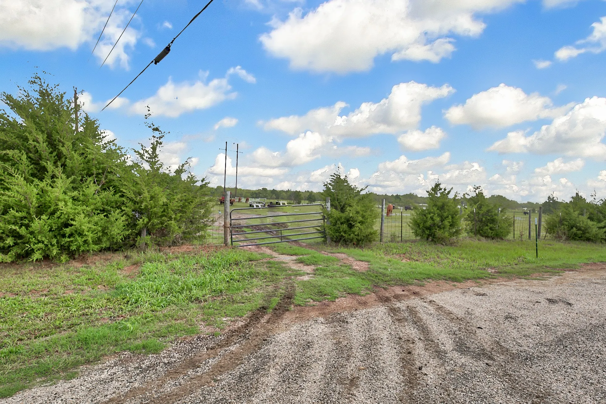 Ranch For Sale in Kaufman County , 0 Palmer Lane, Oak Grove, Texas 75142, 0, 0, Garage spaces, 0 Sqft, built in 0, mls#21150923, Real Estate Agent in Oak Grove, Homes For Sale in Kaufman county, Homes For Sale in Oak Grove, Realtor in Oak Grove Texas, Real Estate Brokerage Independent Realty Texas, Luminita Cordes Realtor