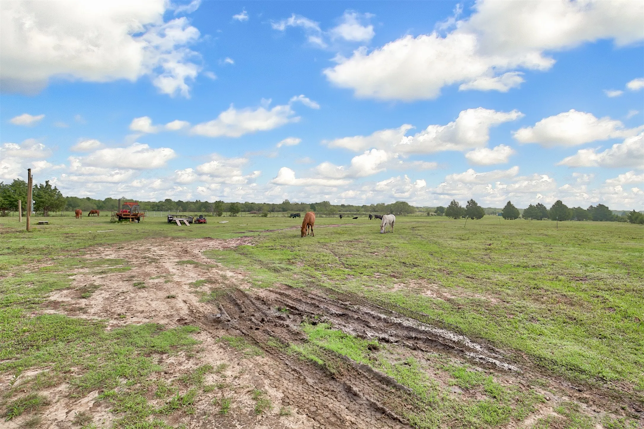 Ranch For Sale in Kaufman County , 0 Palmer Lane, Oak Grove, Texas 75142, 0, 0, Garage spaces, 0 Sqft, built in 0, mls#21150923, Real Estate Agent in Oak Grove, Homes For Sale in Kaufman county, Homes For Sale in Oak Grove, Realtor in Oak Grove Texas, Real Estate Brokerage Independent Realty Texas, Luminita Cordes Realtor