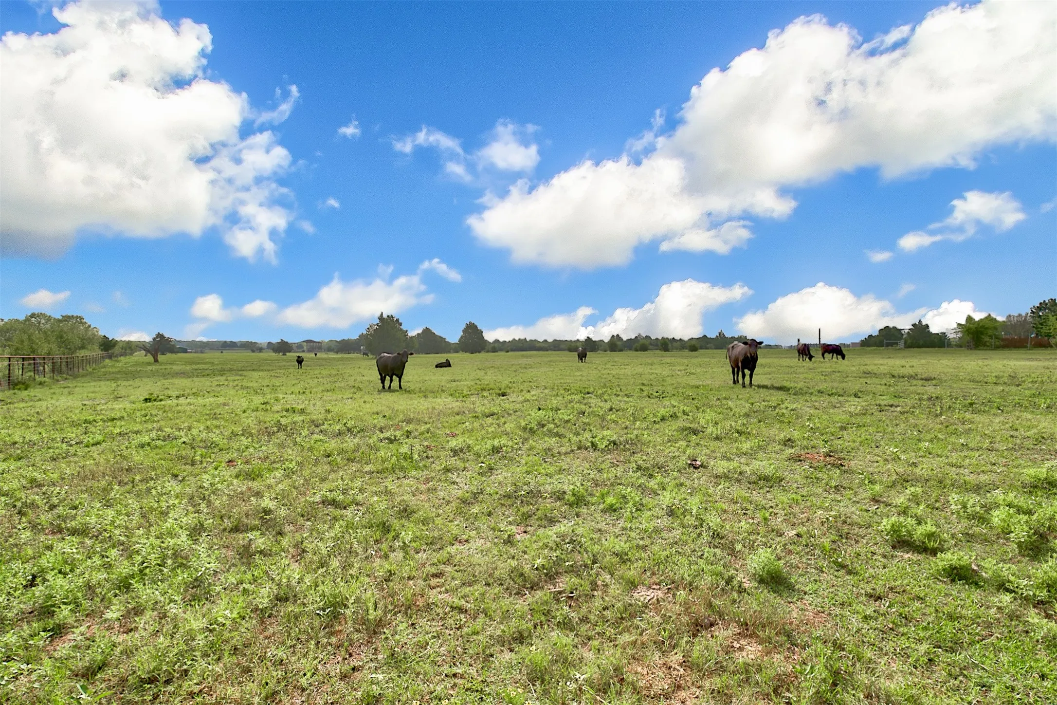 Ranch For Sale in Kaufman County , 0 Palmer Lane, Oak Grove, Texas 75142, 0, 0, Garage spaces, 0 Sqft, built in 0, mls#21150923, Real Estate Agent in Oak Grove, Homes For Sale in Kaufman county, Homes For Sale in Oak Grove, Realtor in Oak Grove Texas, Real Estate Brokerage Independent Realty Texas, Luminita Cordes Realtor