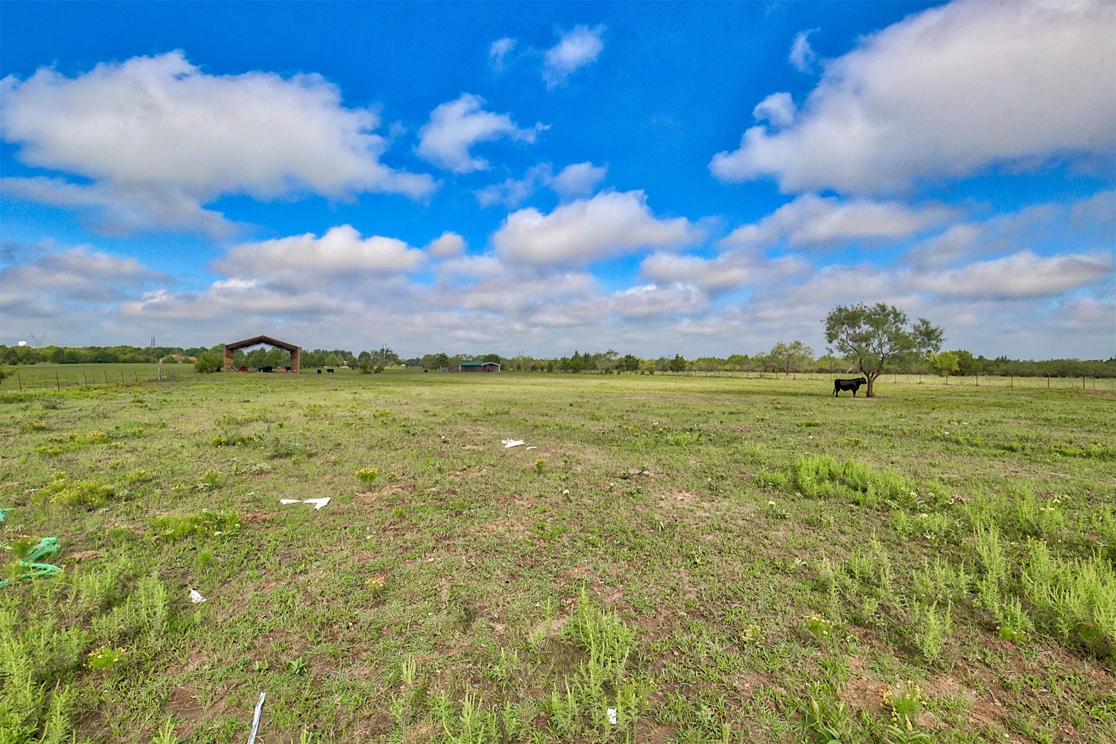 Ranch For Sale in Kaufman County , 0 Palmer Lane, Oak Grove, Texas 75142, 0, 0, Garage spaces, 0 Sqft, built in 0, mls#21150923, Real Estate Agent in Oak Grove, Homes For Sale in Kaufman county, Homes For Sale in Oak Grove, Realtor in Oak Grove Texas, Real Estate Brokerage Independent Realty Texas, Luminita Cordes Realtor